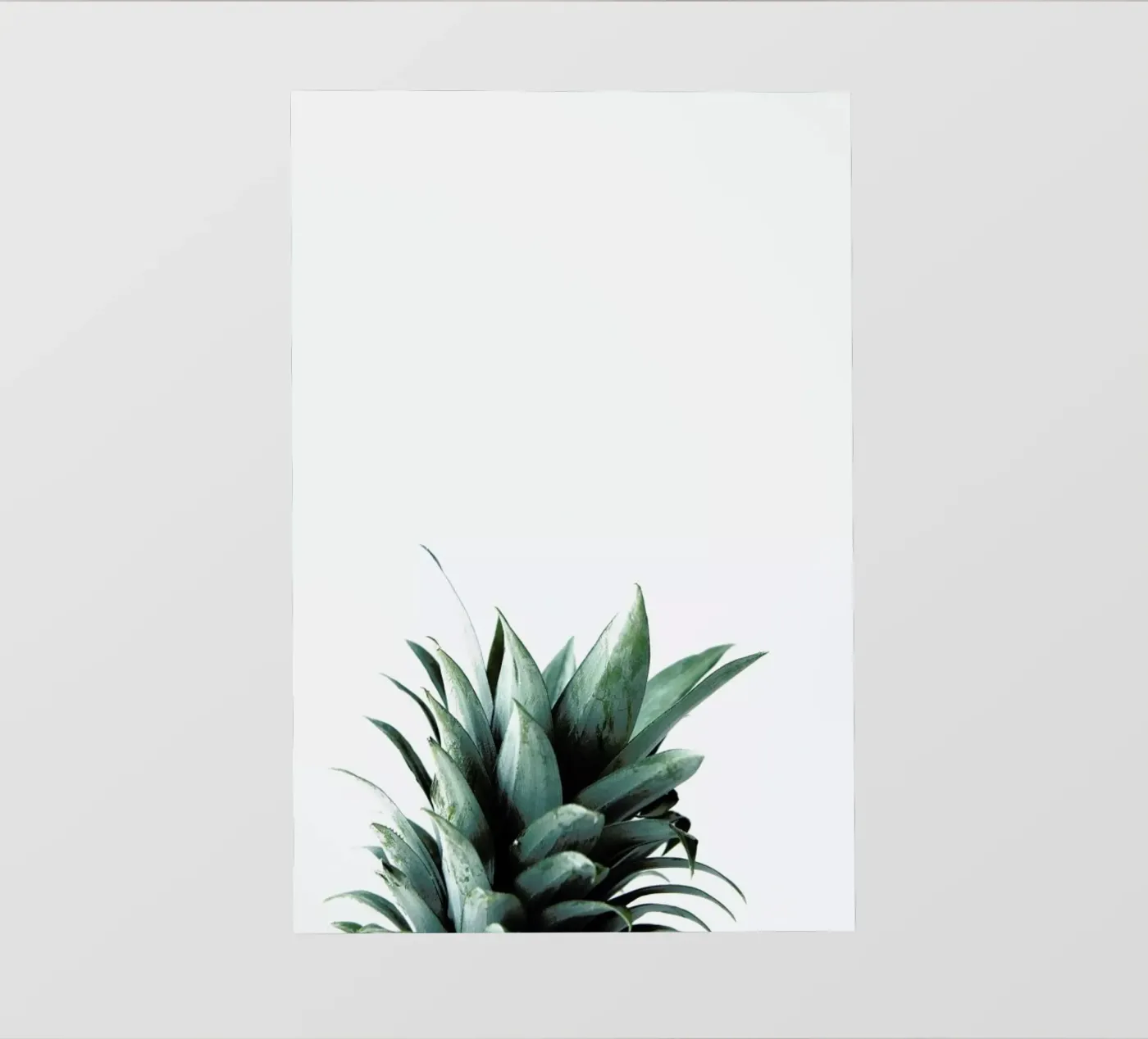 Pineapple backlit film by Chris Abatzis