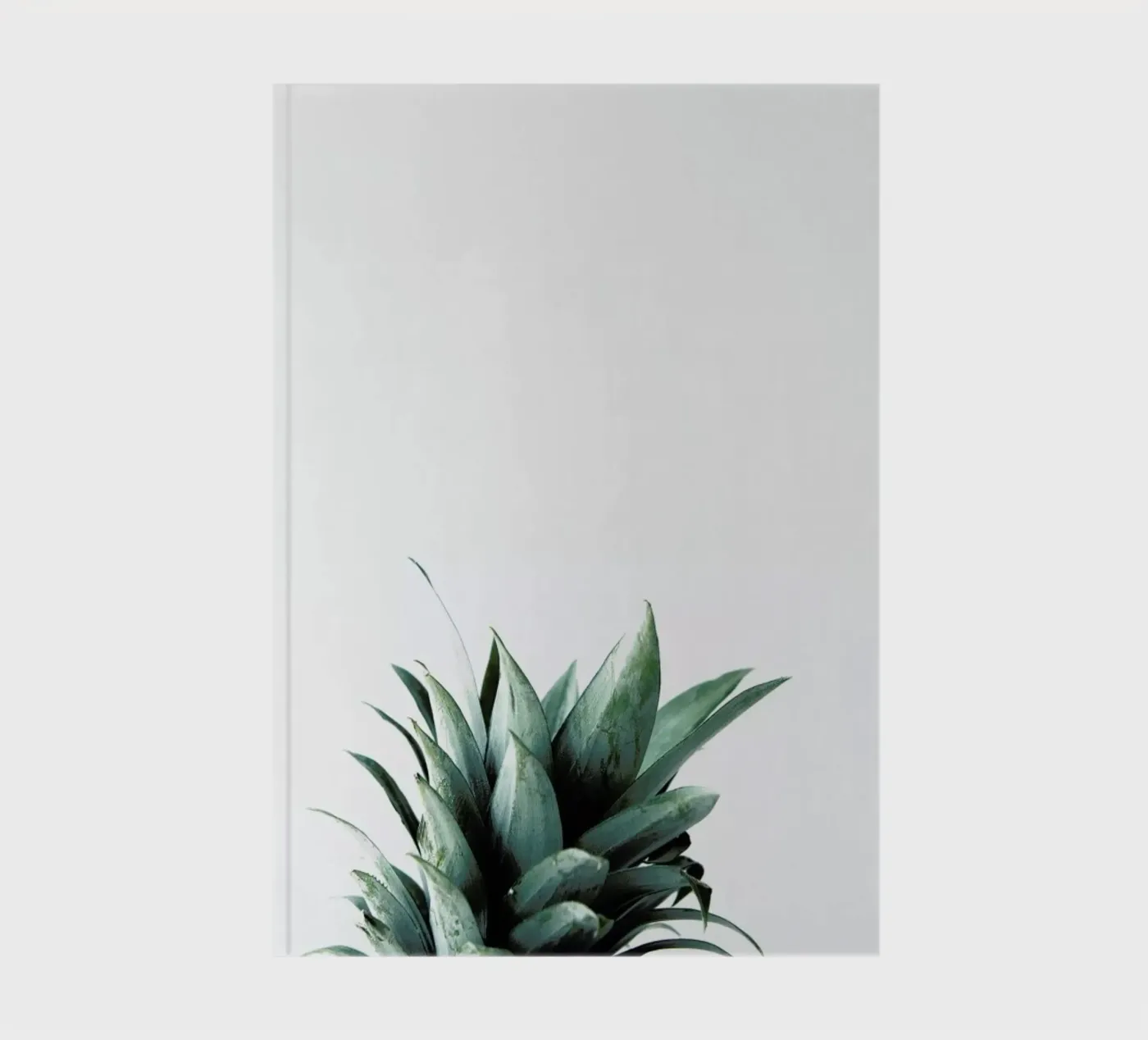Pineapple quaderno da Chris Abatzis
