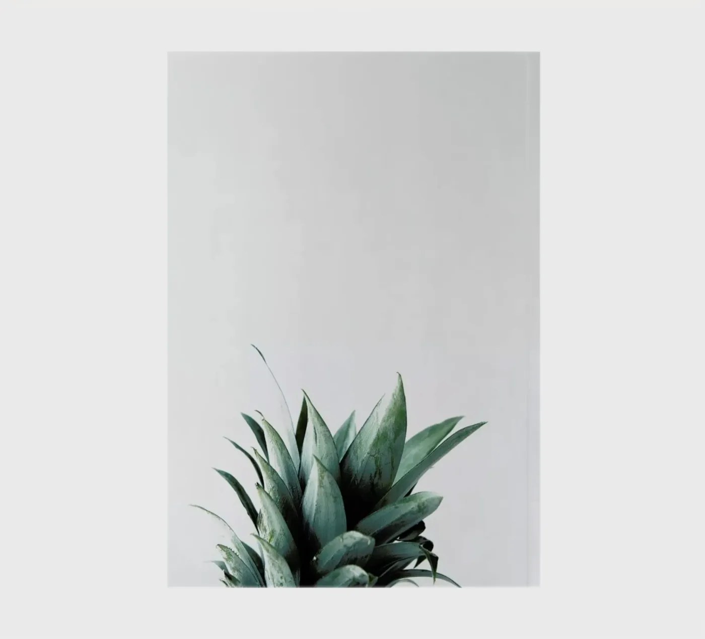 Pineapple quaderno da Chris Abatzis