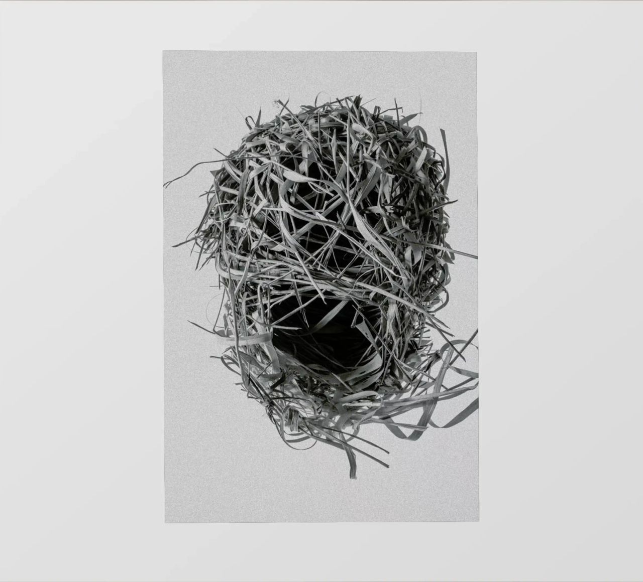 Weaver Nest pellicola backlit da Shot By Clint