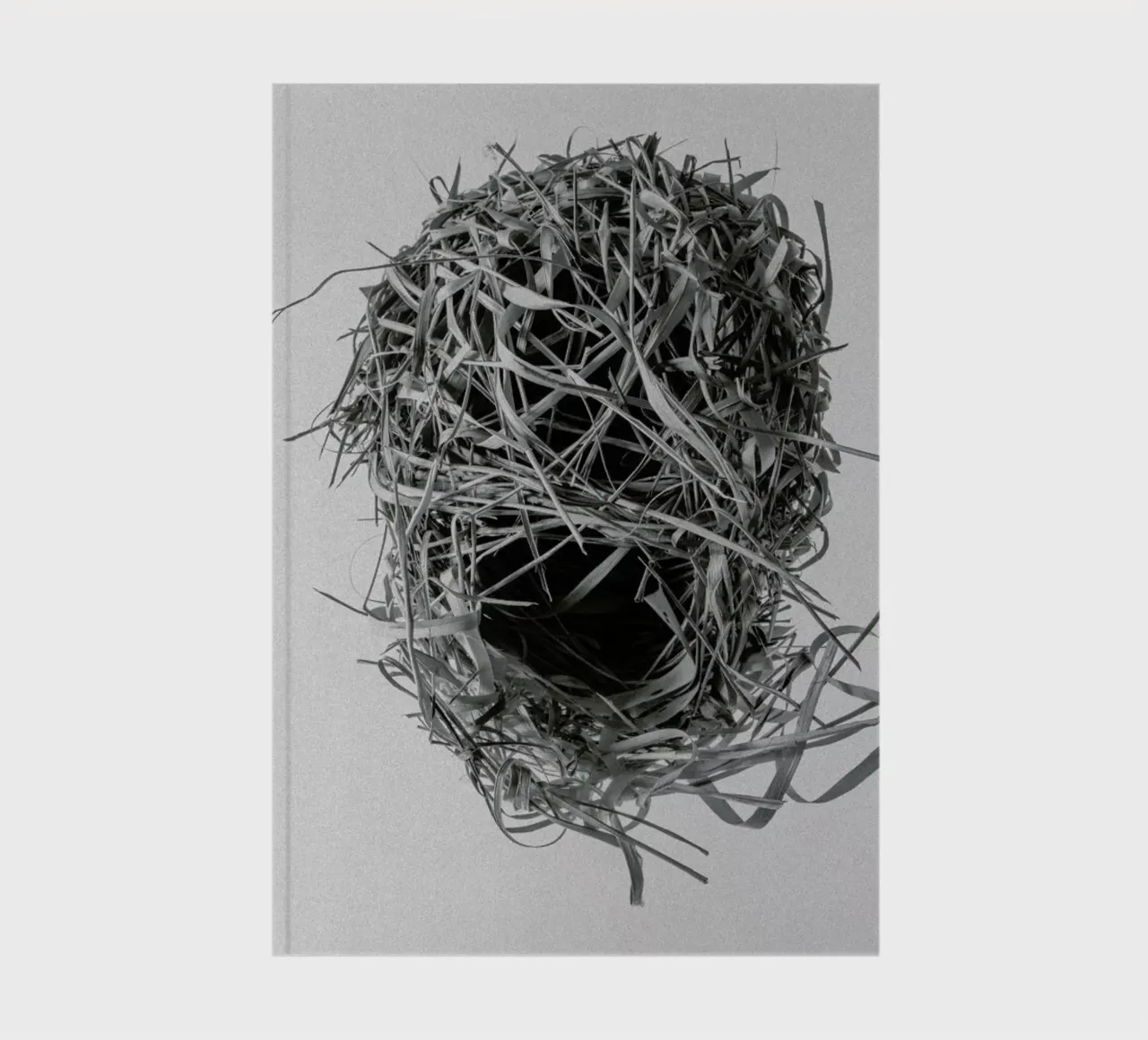 Weaver Nest diario da Shot By Clint