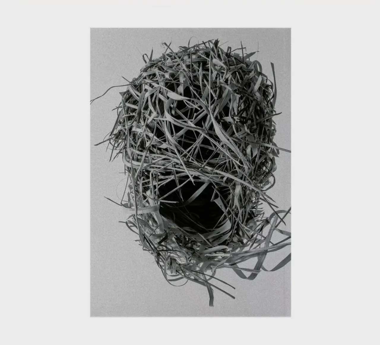 Weaver Nest diario da Shot By Clint