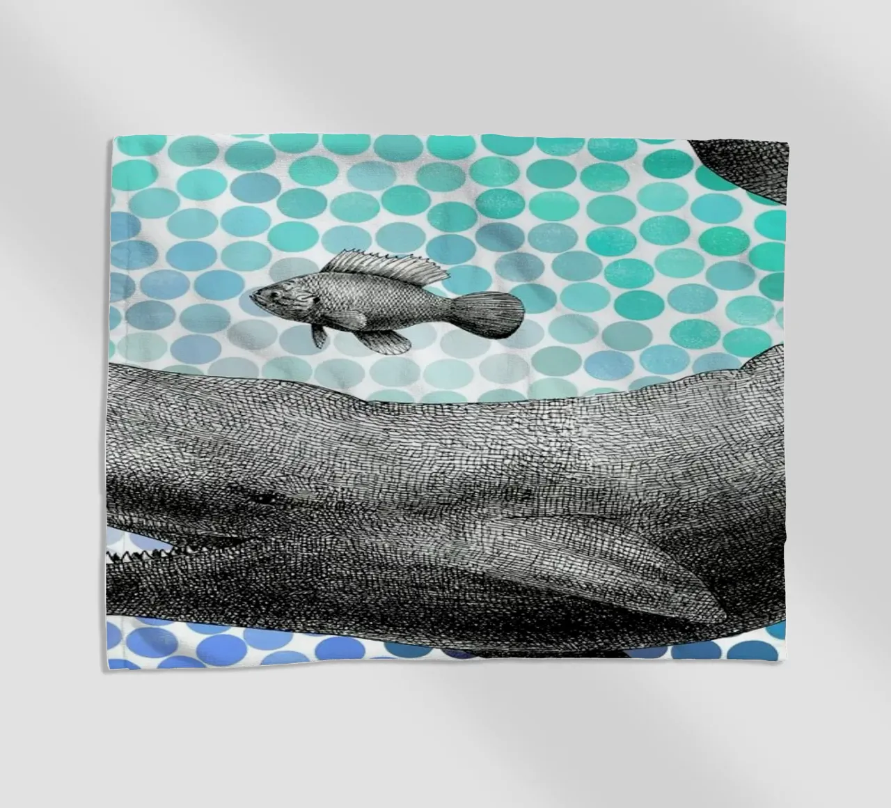 Whale and Fish telo mare da Eric Fan