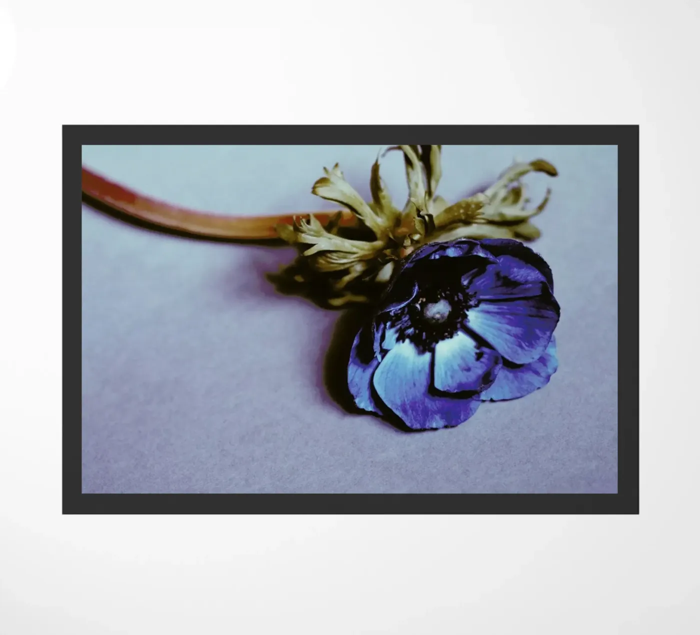 Fleur doormat by Morgan Kendall