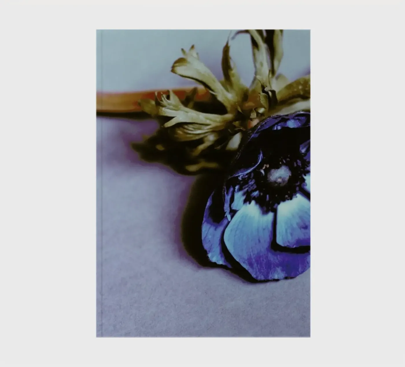 Fleur notebook by Morgan Kendall
