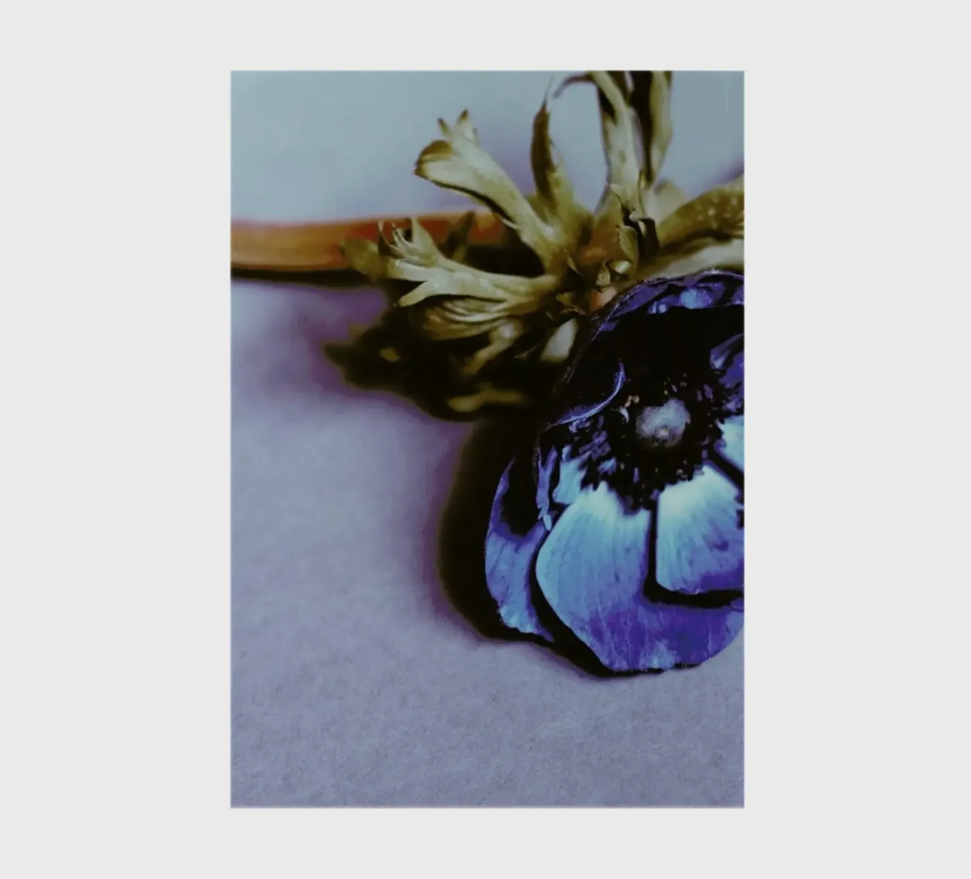 Fleur notebook by Morgan Kendall