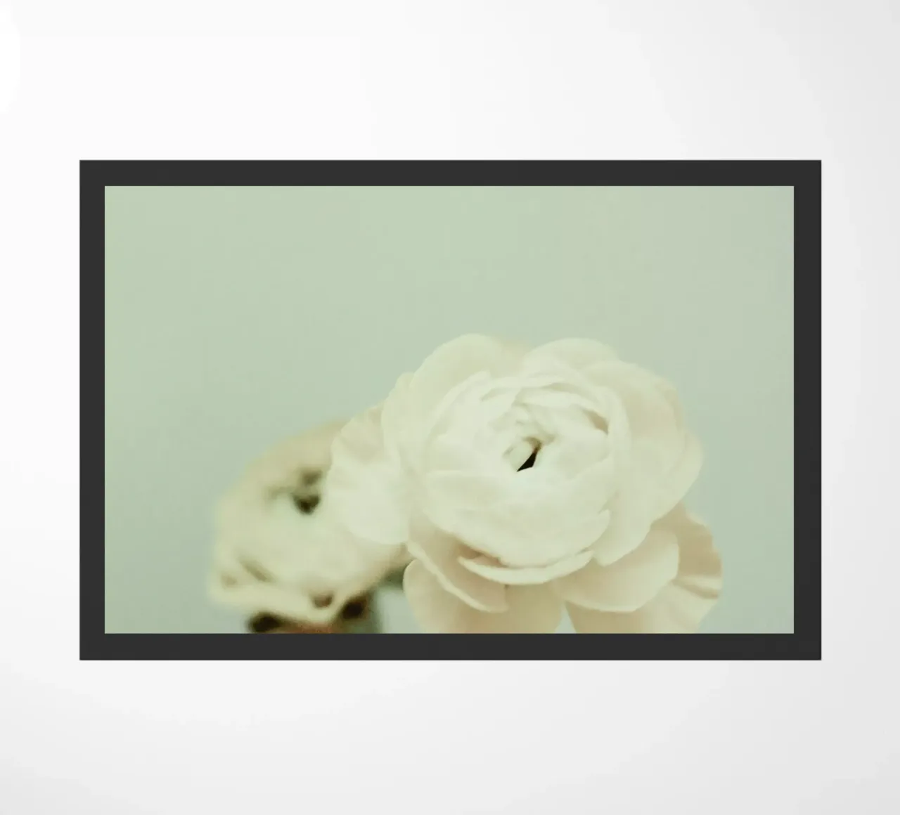 Cream zerbino da Morgan Kendall