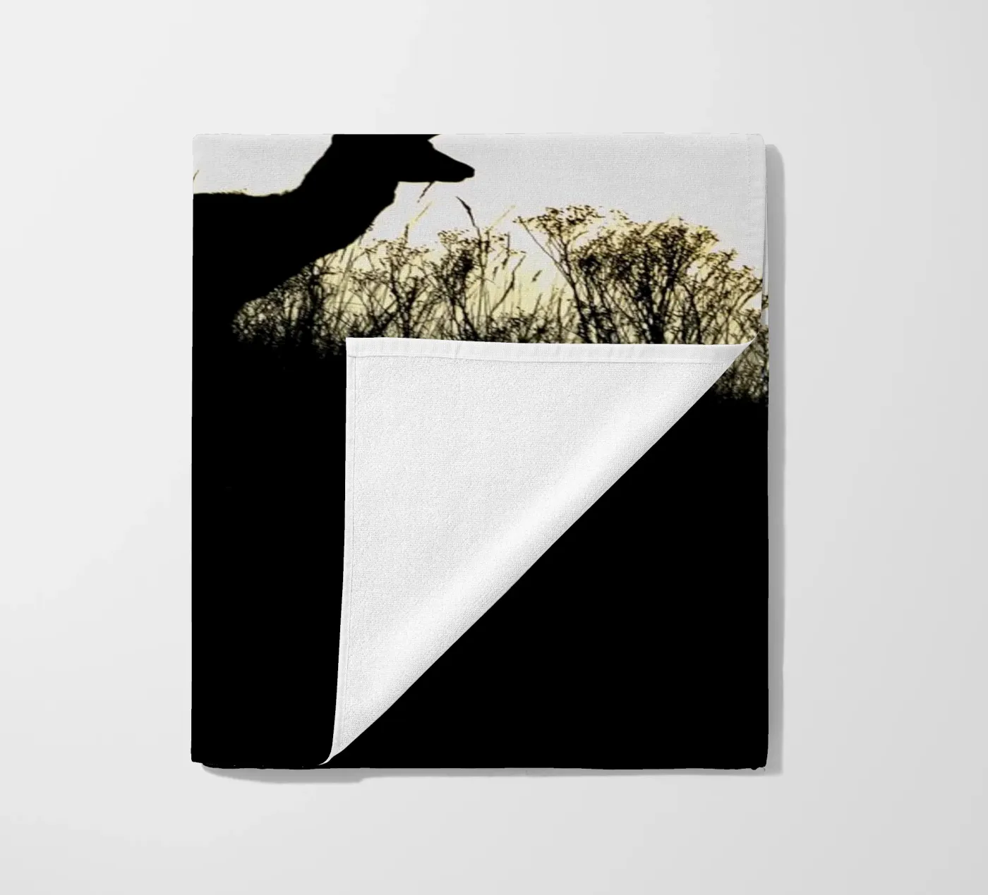 Sunrise telo mare da Tom's Wildlife