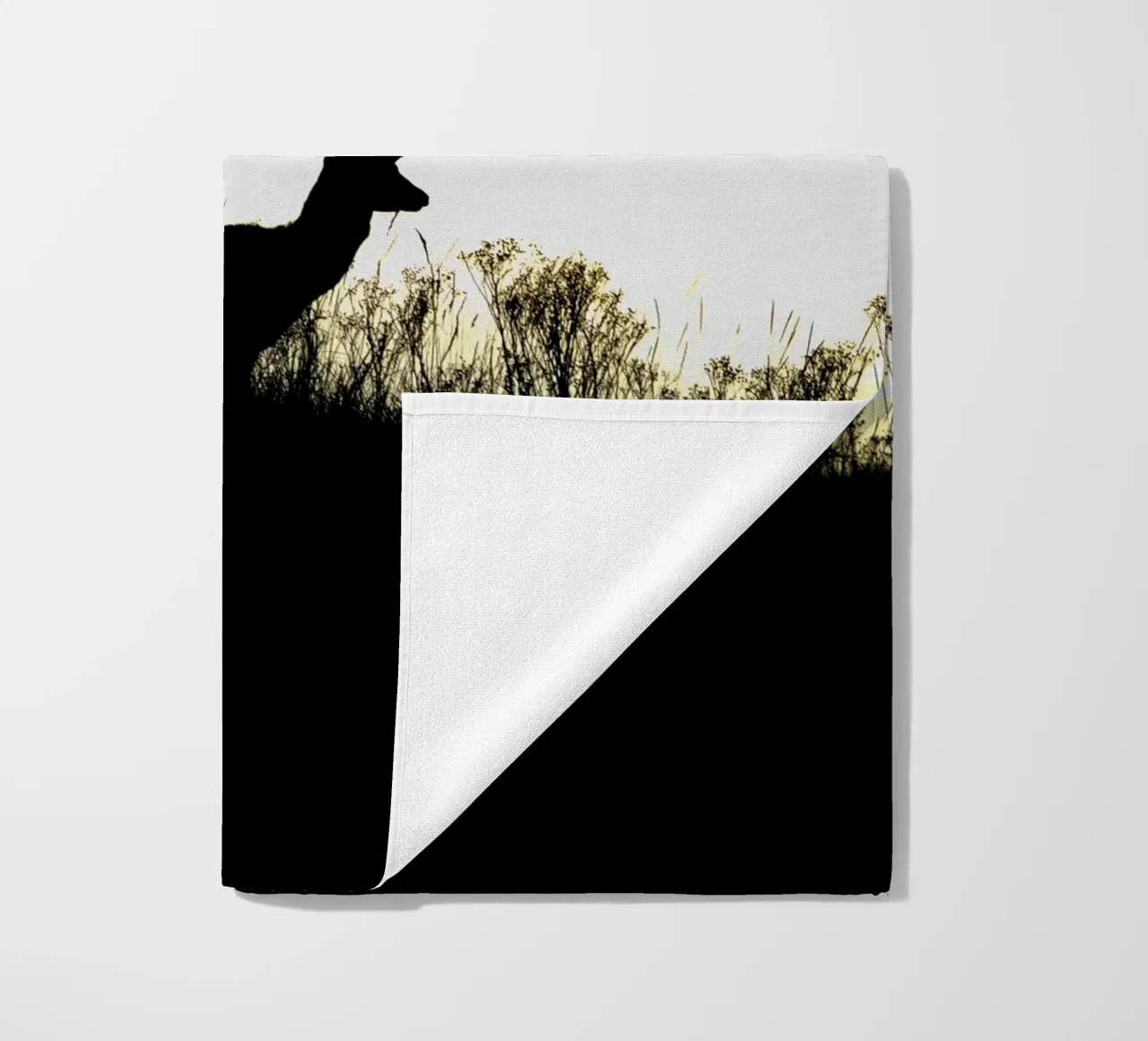 Alba telo mare da Tom's Wildlife