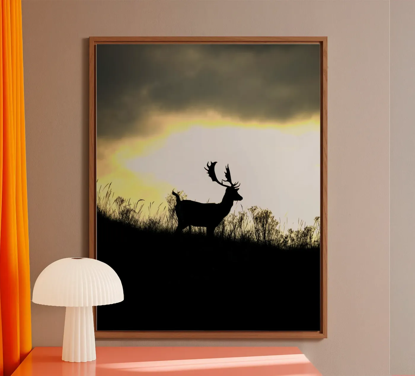 Alba pannello forex da Tom's Wildlife