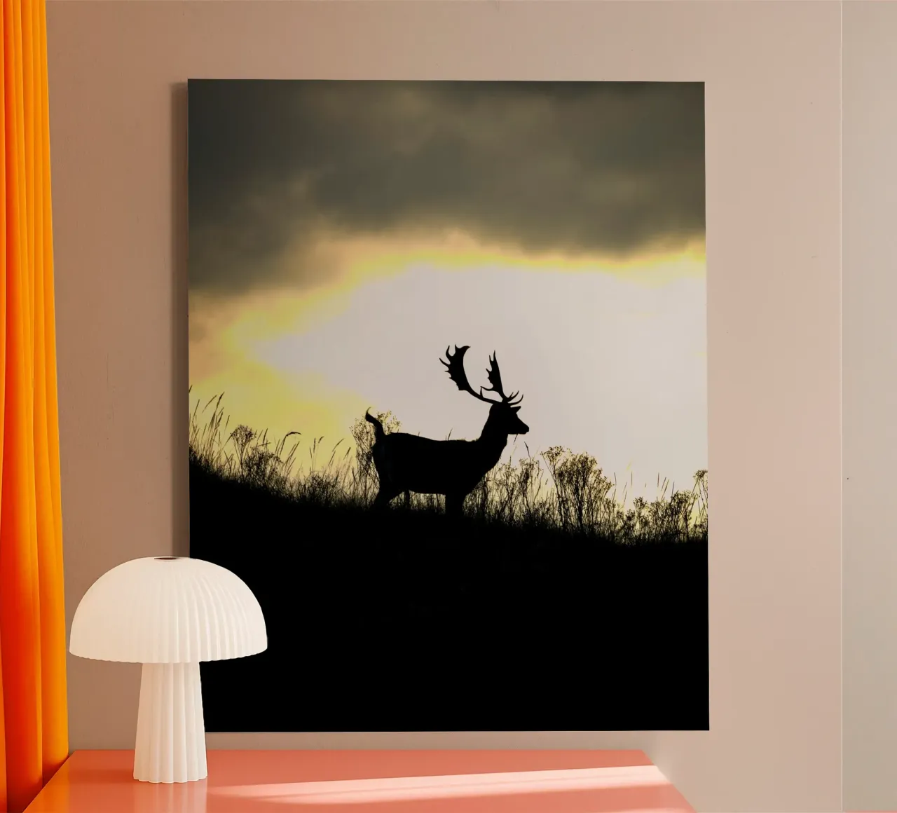 Alba tela da Tom's Wildlife