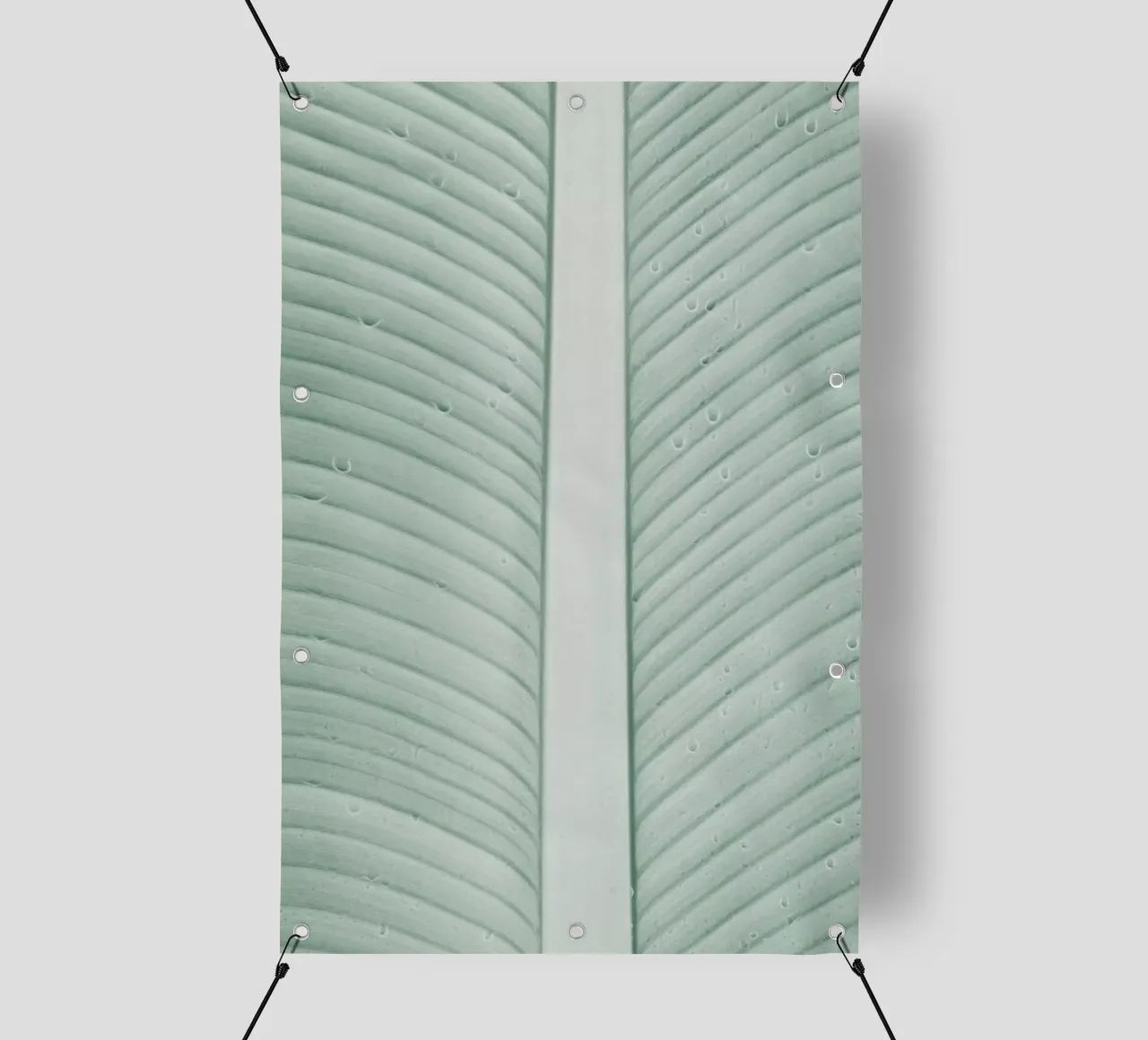 Strelitzia 01 telo in pvc da Shot By Clint