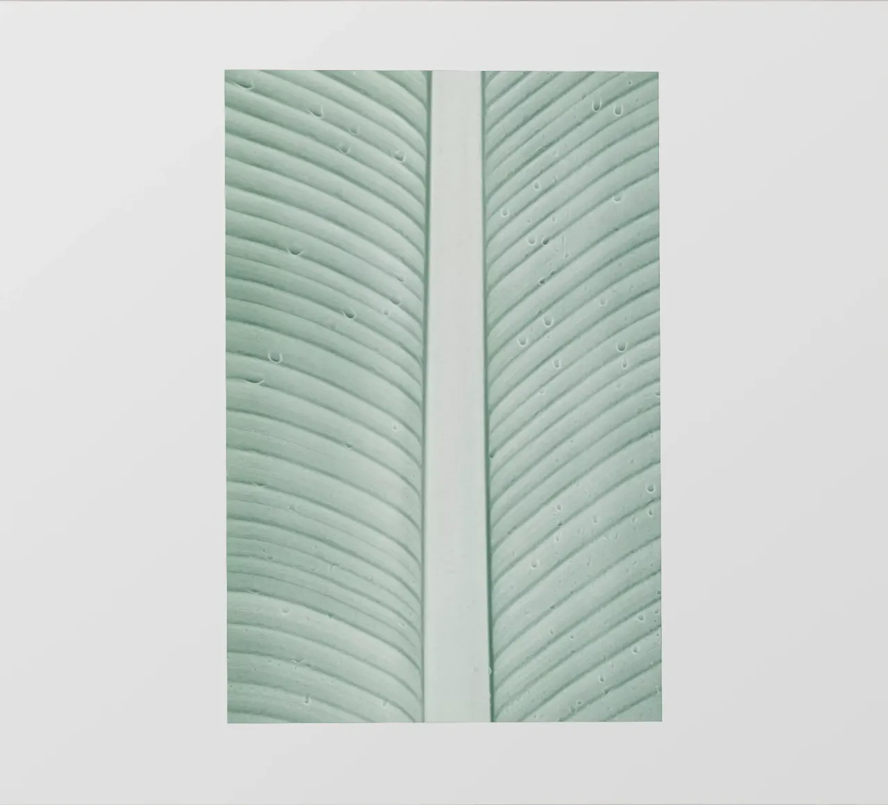 Strelitzia 01 telo in pvc da Shot By Clint