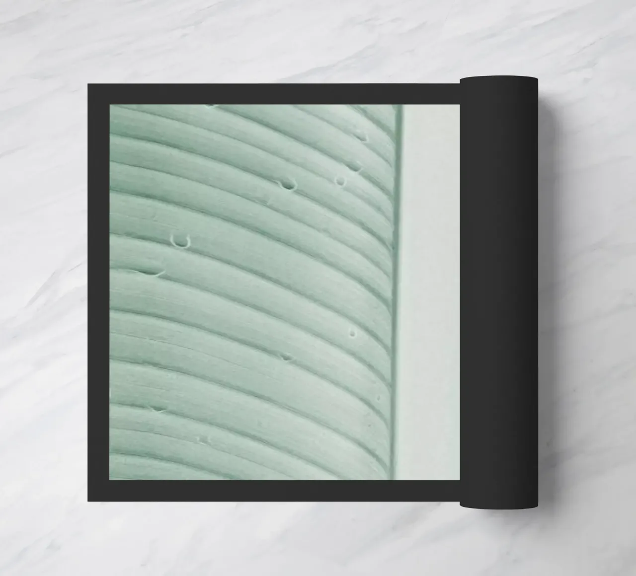 Strelitzia 01 zerbino da Shot By Clint