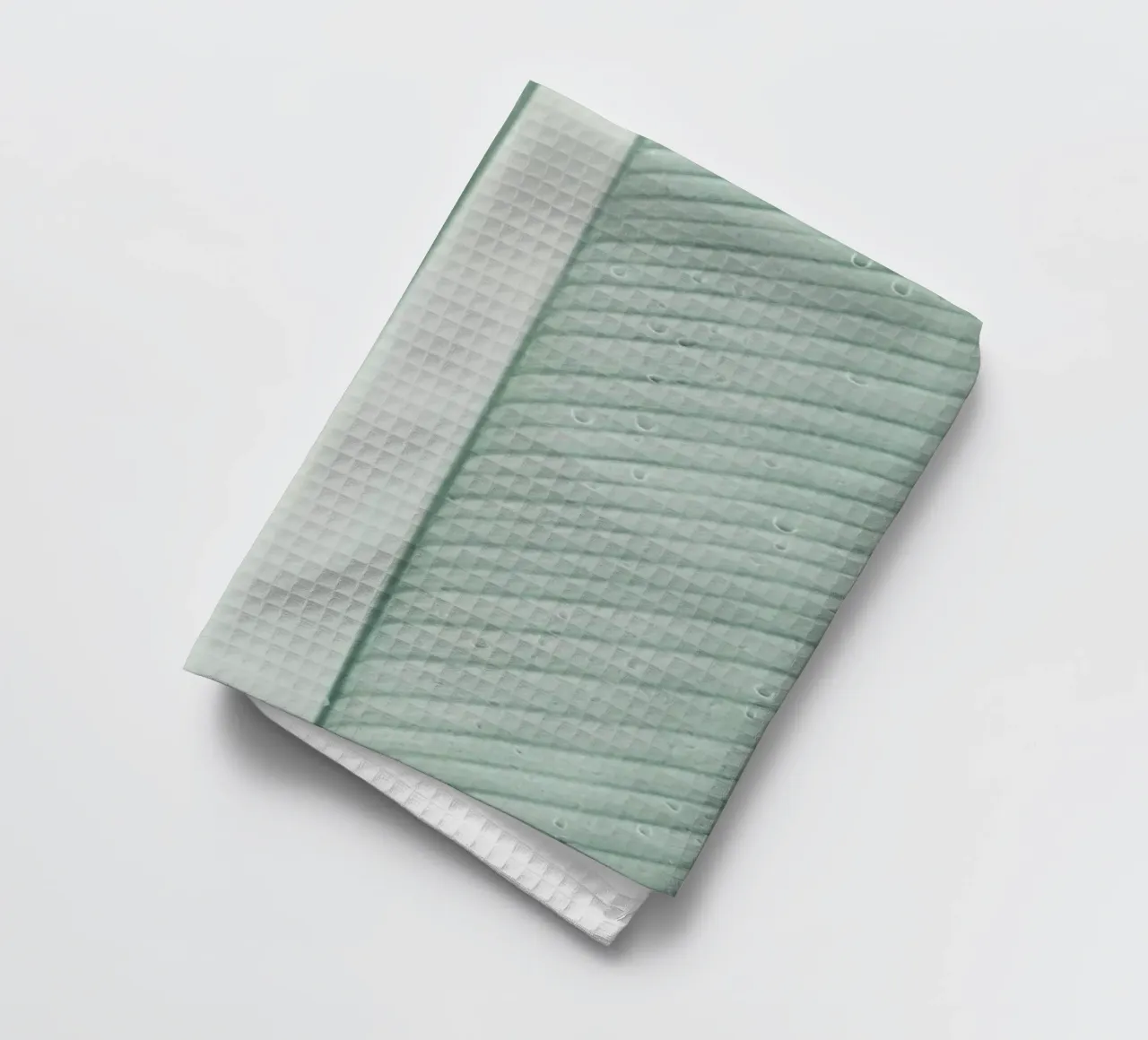 Strelitzia 01 canovaccio da cucina da Shot By Clint