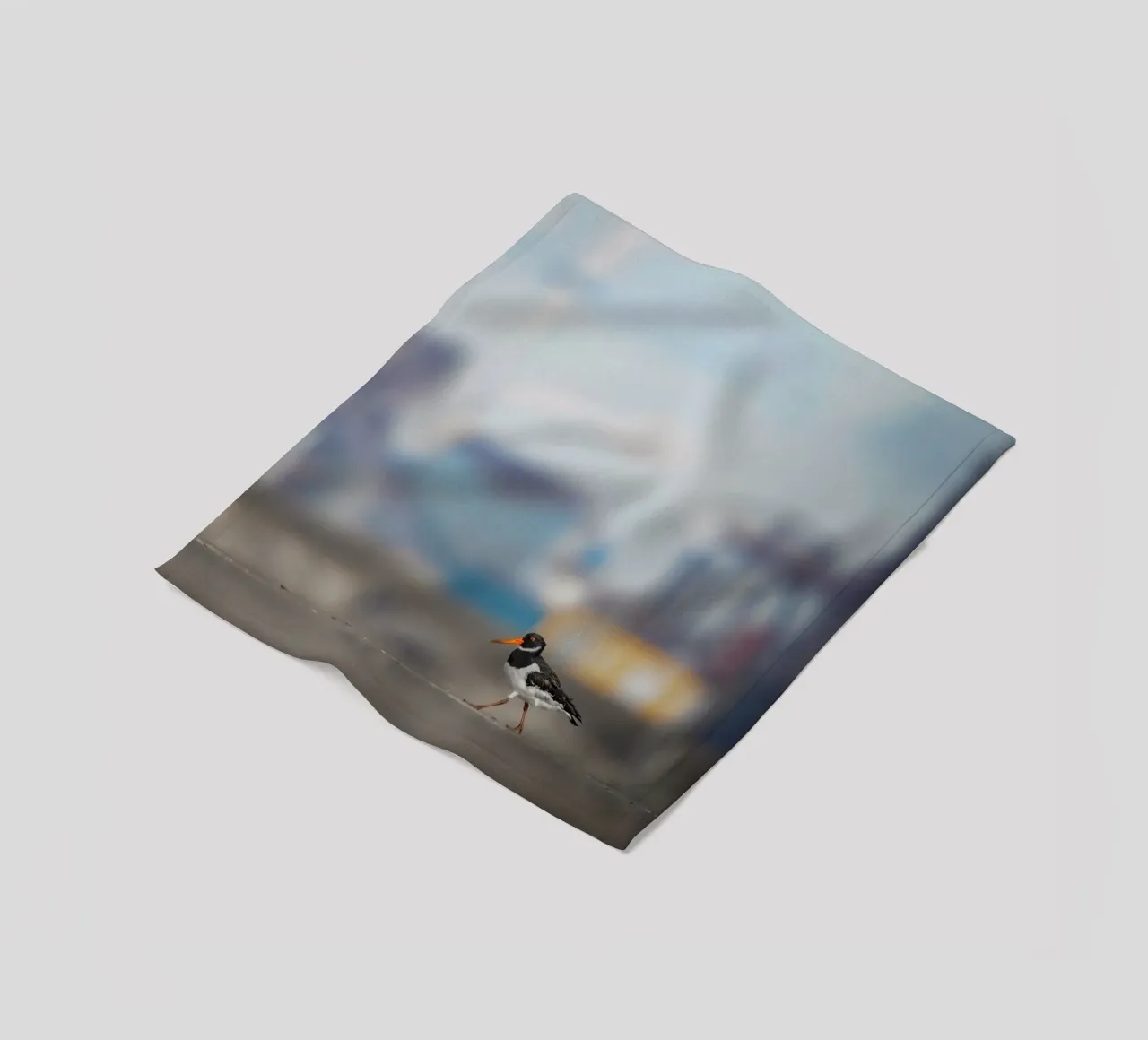 Oystercatcher fleece blanket by Tom's Wildlife