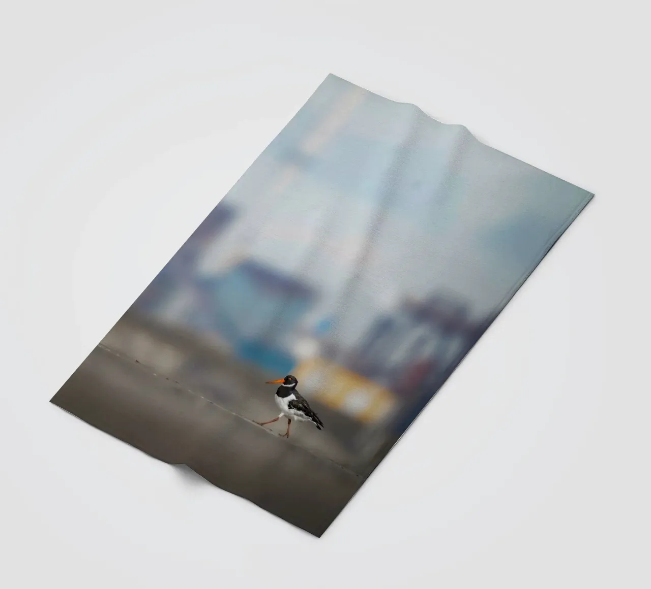 Oystercatcher fleece blanket by Tom's Wildlife