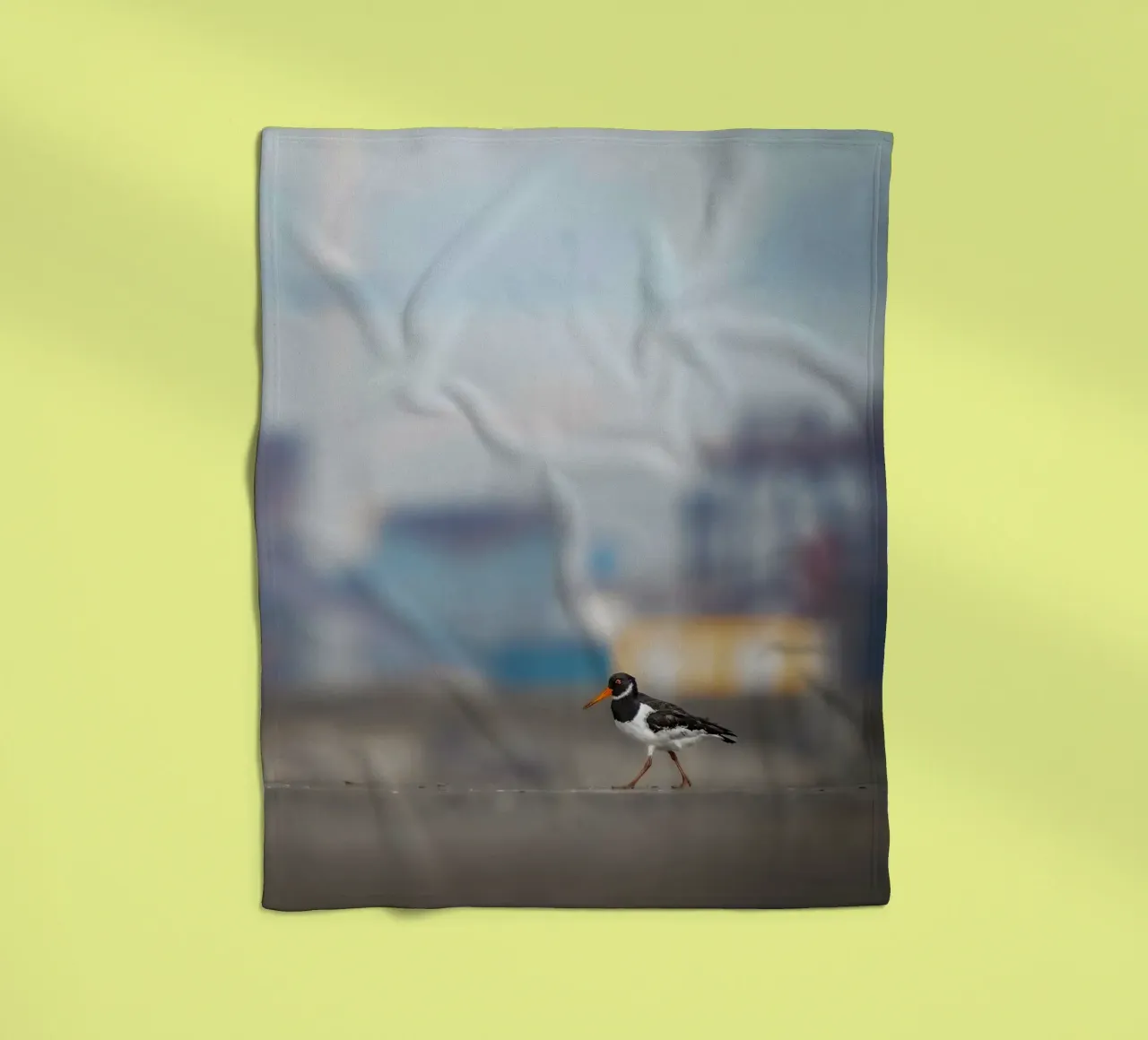 Oystercatcher fleece blanket by Tom's Wildlife