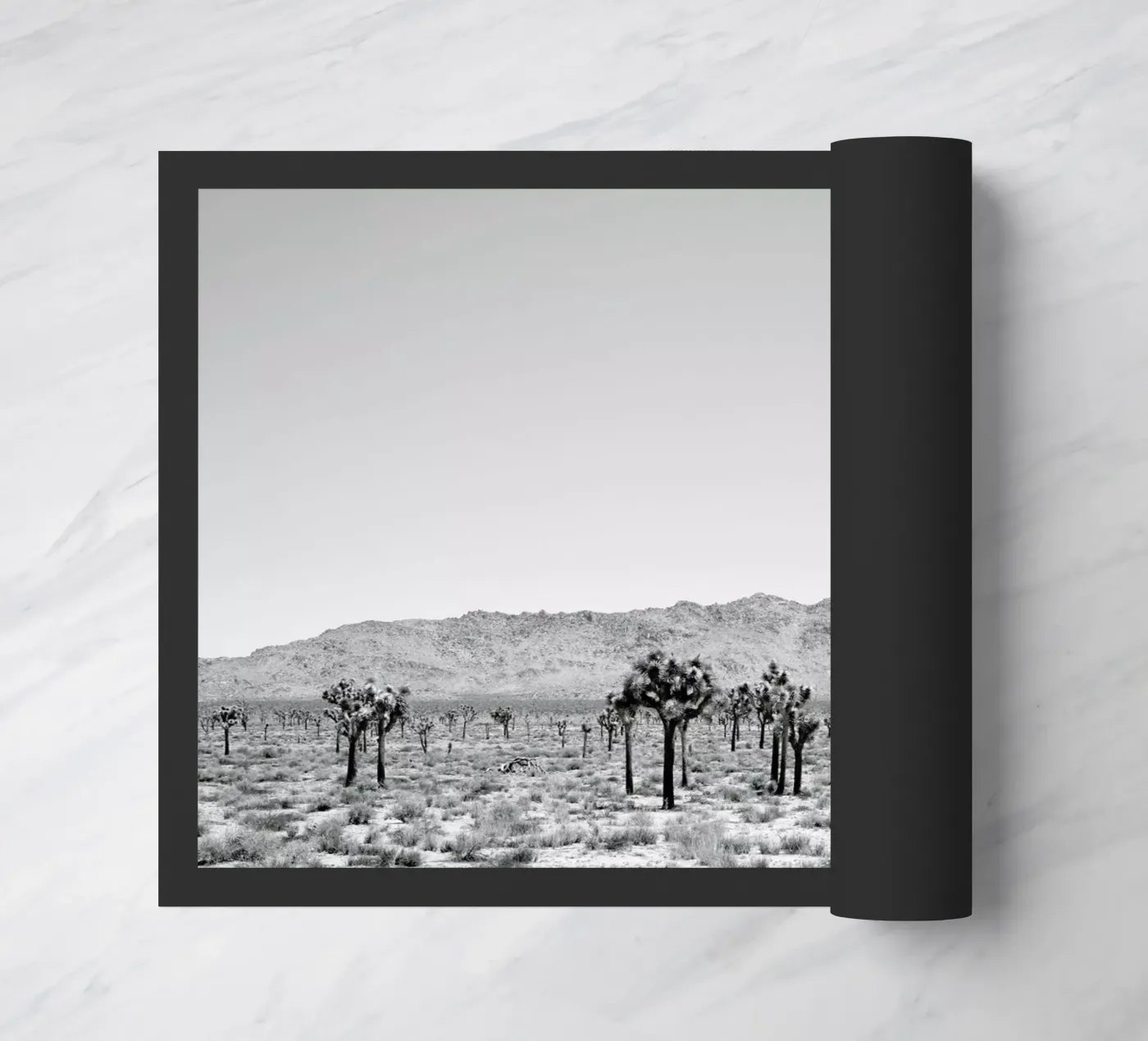 Sues Scape doormat by Shot By Clint