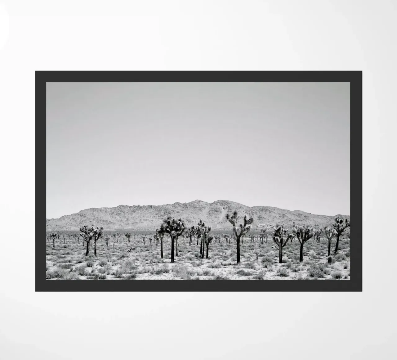 Sues Scape zerbino da Shot By Clint