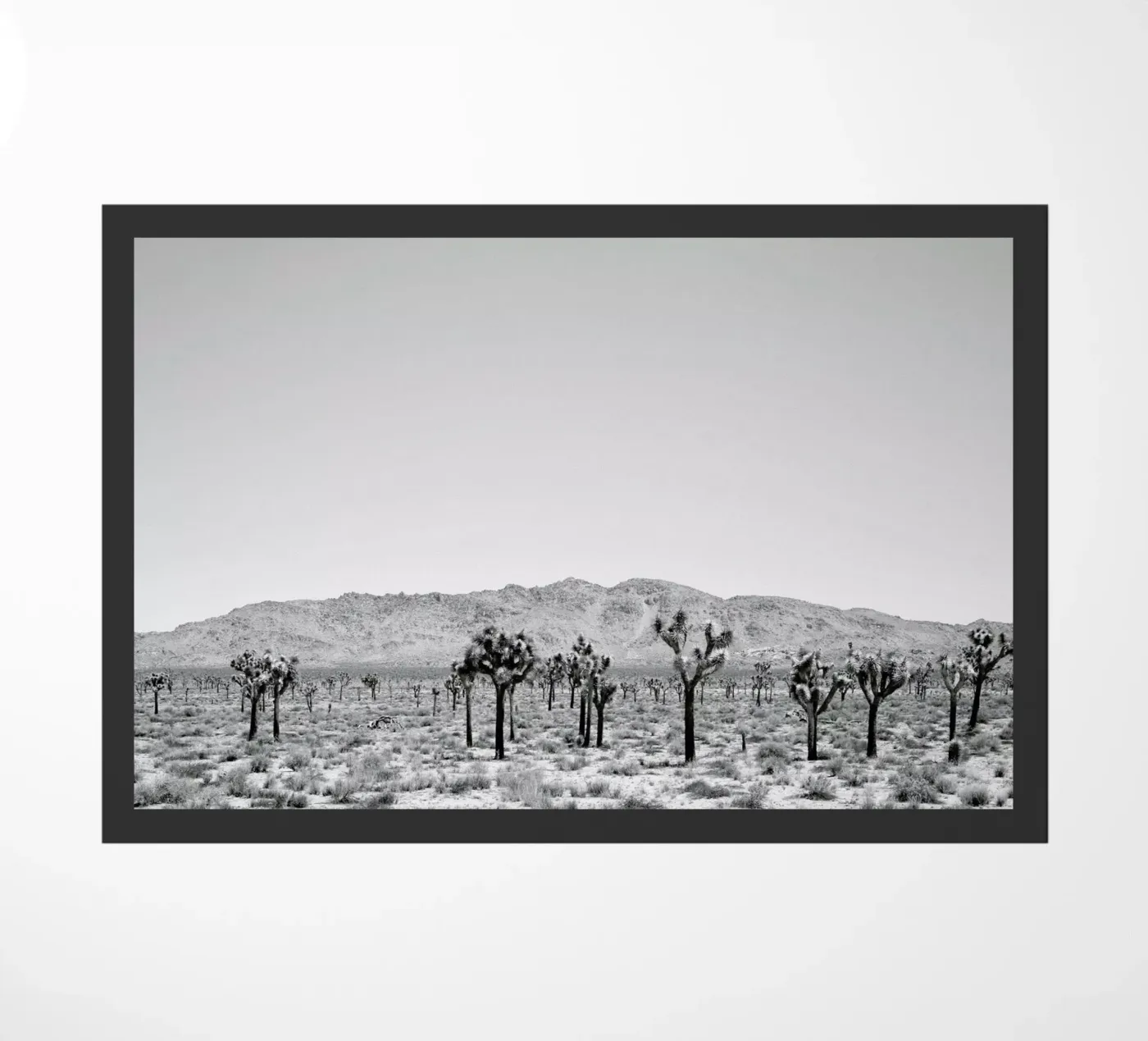 Sues Scape doormat by Shot By Clint