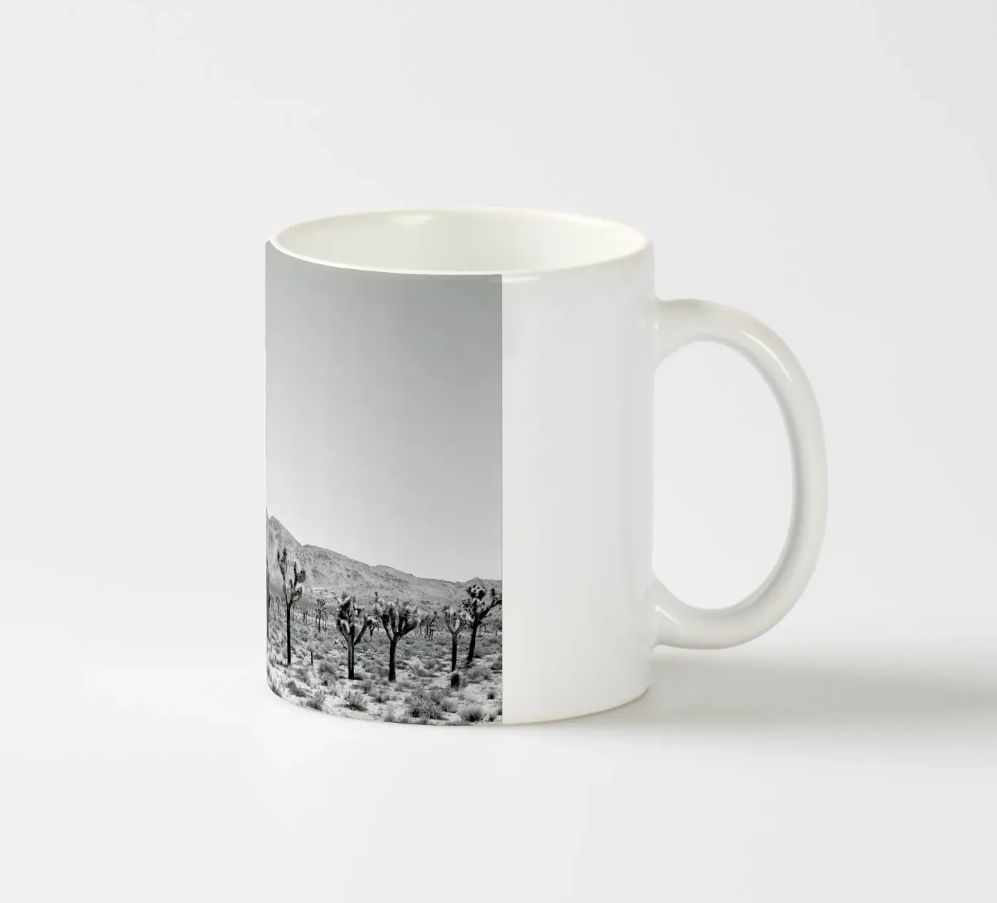 Sues Scape ceramic mug by Shot By Clint