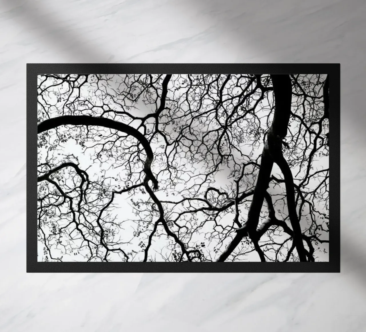 Durban Forest zerbino da Shot By Clint