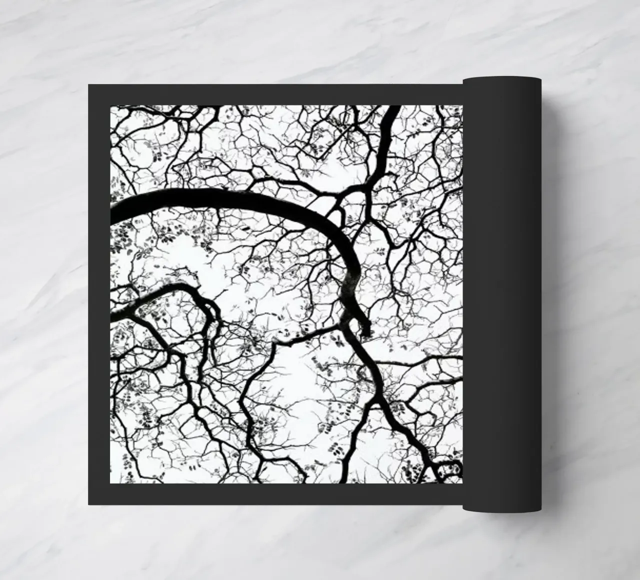 Durban Forest zerbino da Shot By Clint