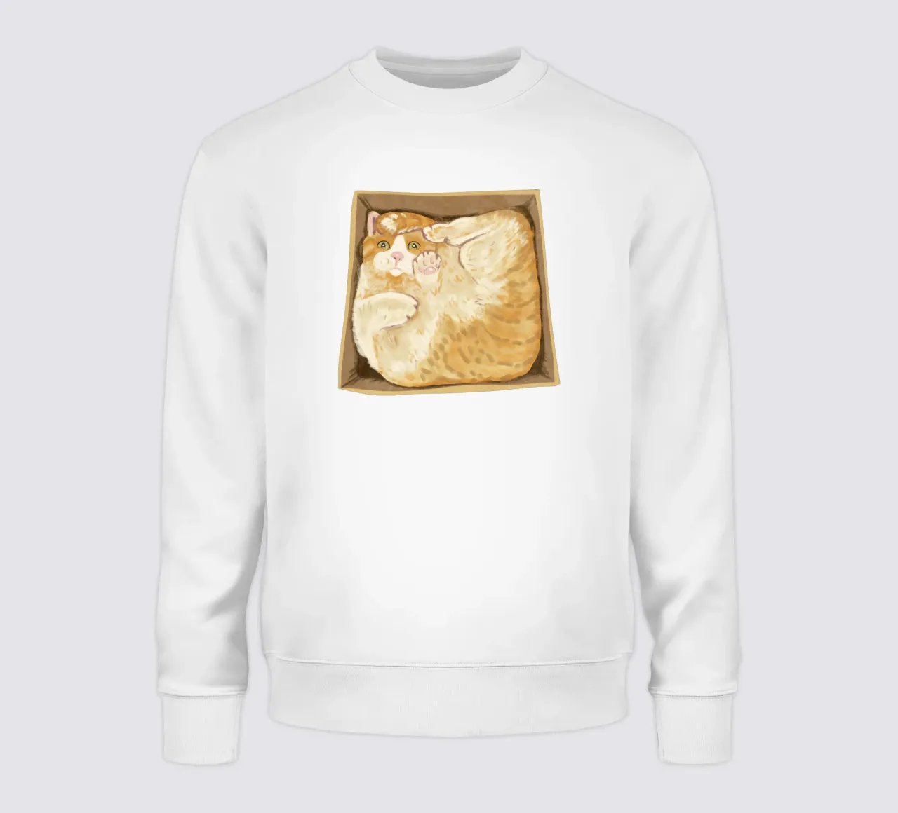 Gatto in scatola felpa da Illustration Raissa Oltmanns