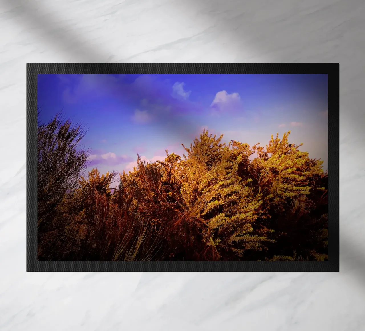 FAA174 zerbino da Thierry vobmann photography