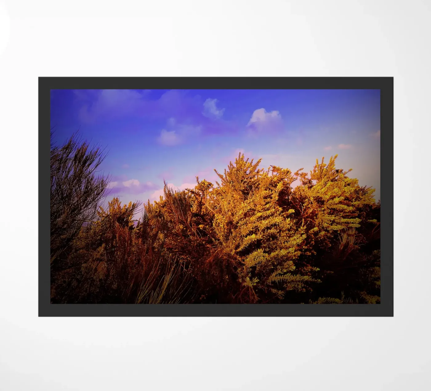 FAA174 deurmat van Thierry vobmann photography