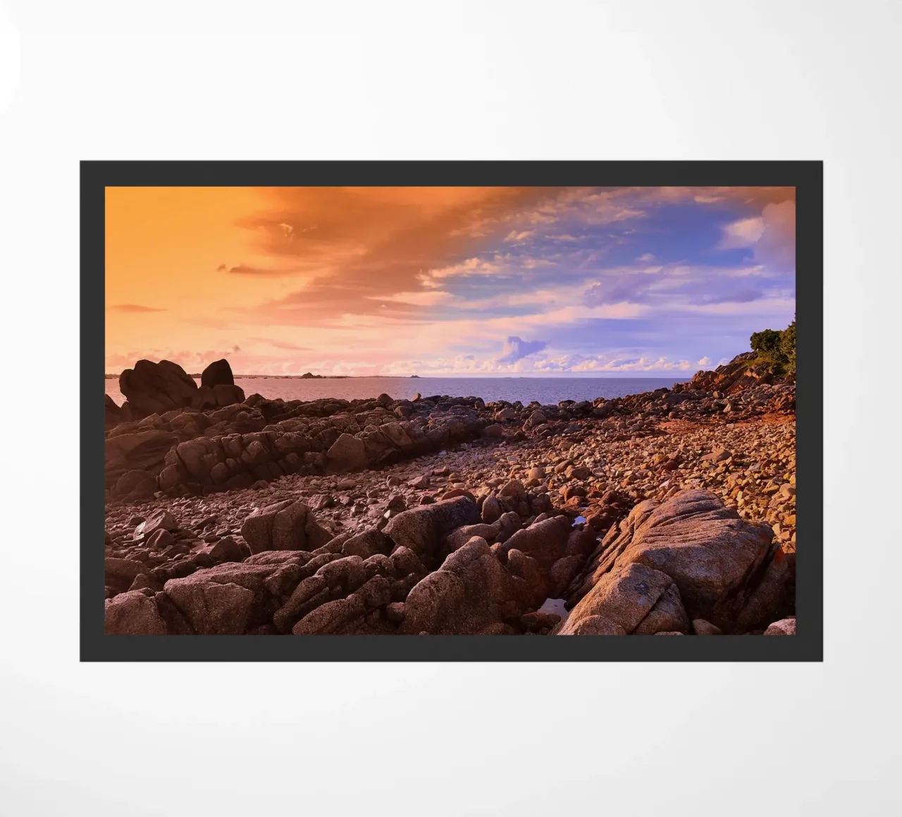 FAA175 zerbino da Thierry vobmann photography