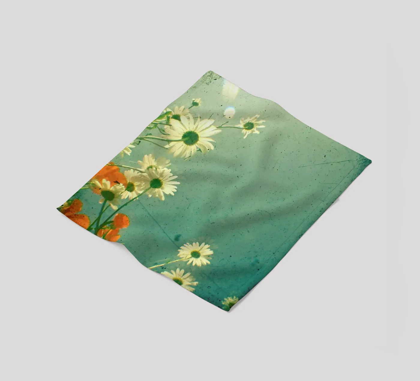 Marguerite plaid polaire de Cassia Beck Photography