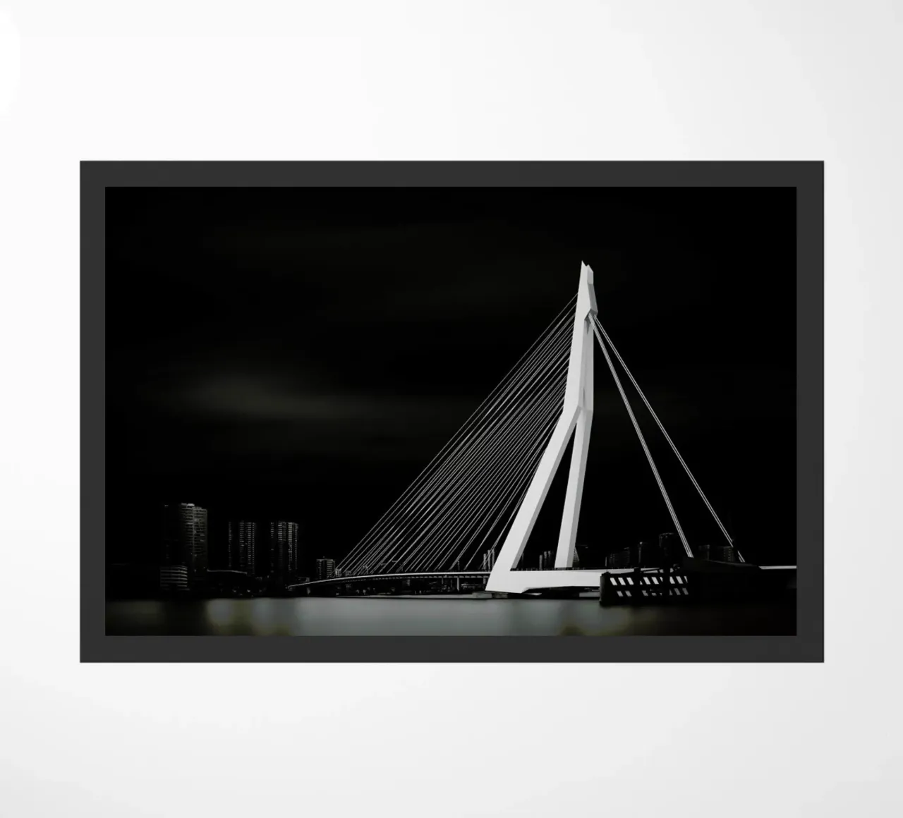 Metropolis Erasmusbrug 2 zerbino da Håggard Photography | Ronny Behnert