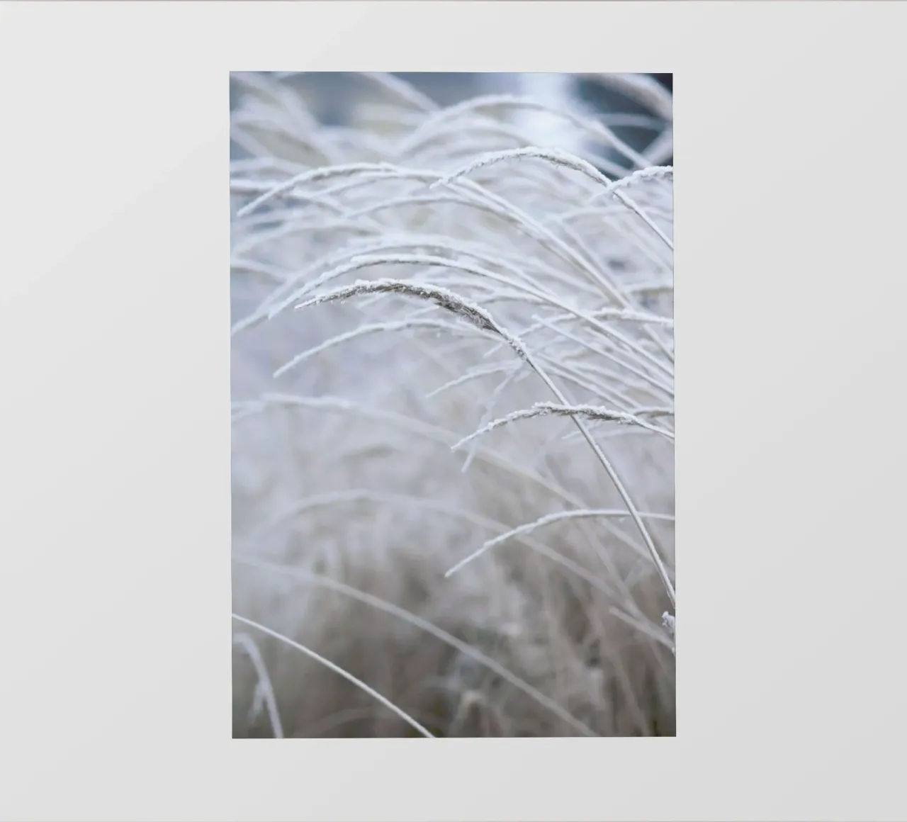 White & Calm pellicola backlit da Studio Nahili