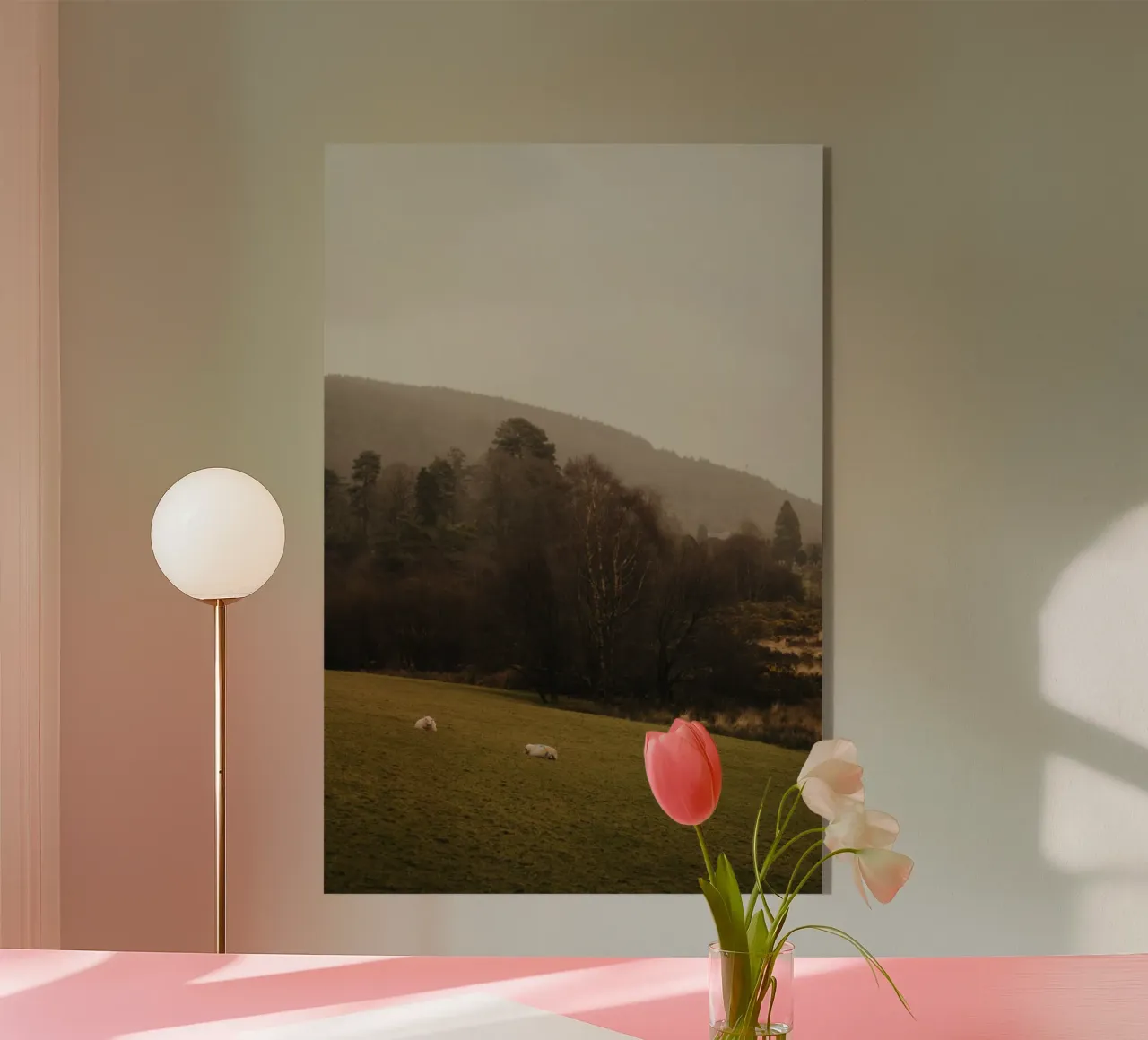 Schafe in Irland acrylic glass by Stina Freytag