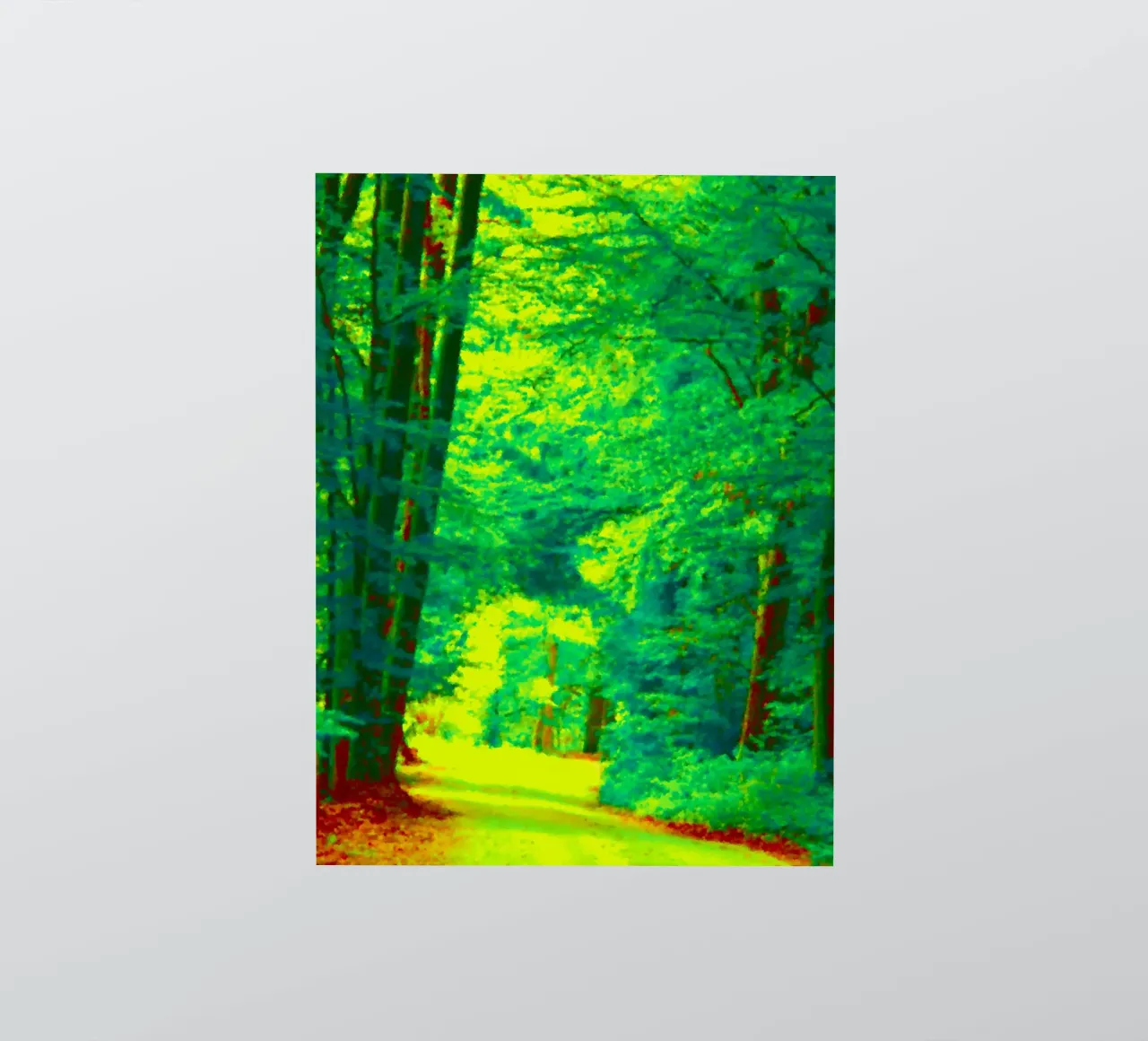 A path in the forest in summer sticker by Something for you