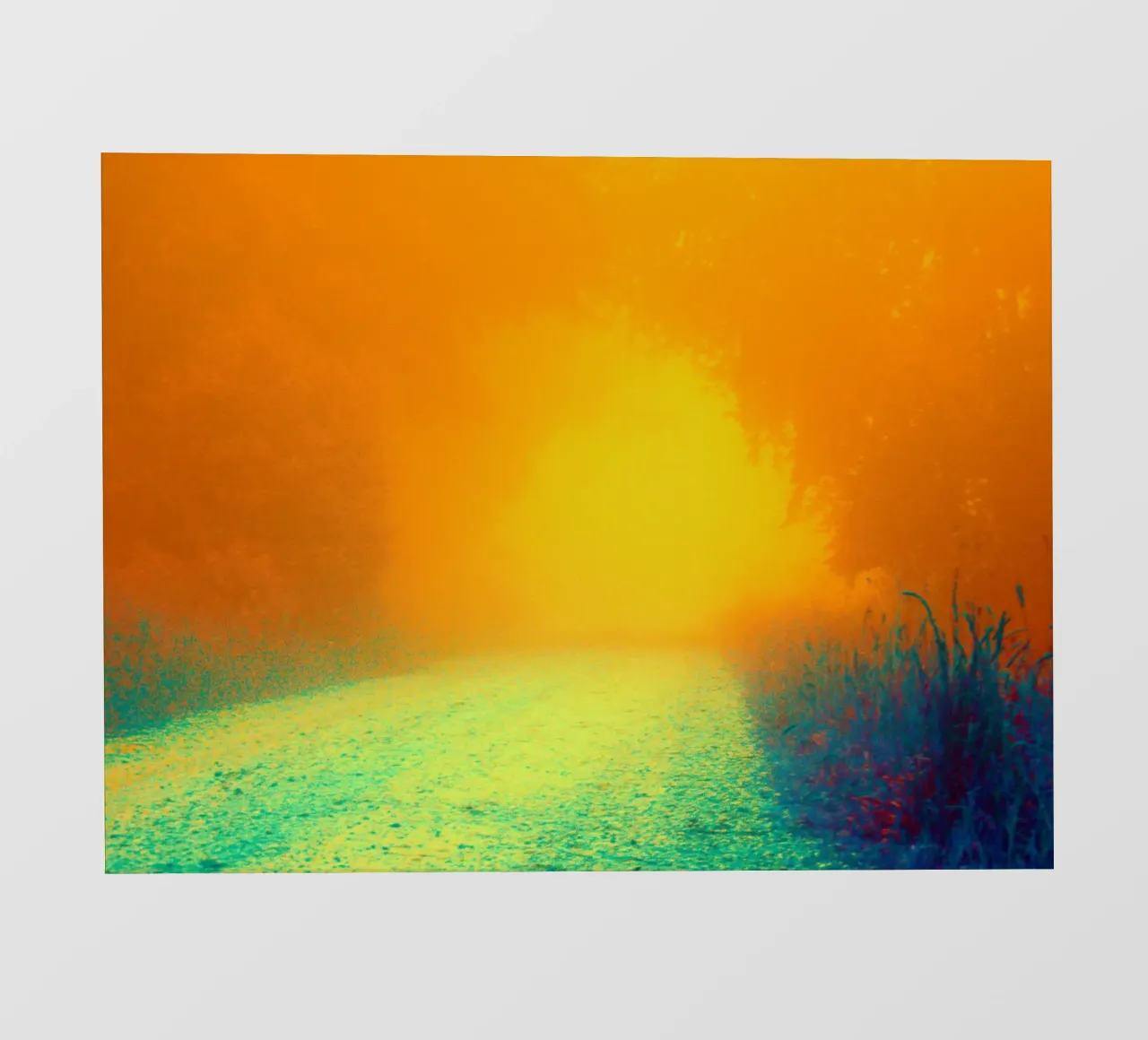 Un sentiero nella foresta nella nebbia telo in pvc da Something for you