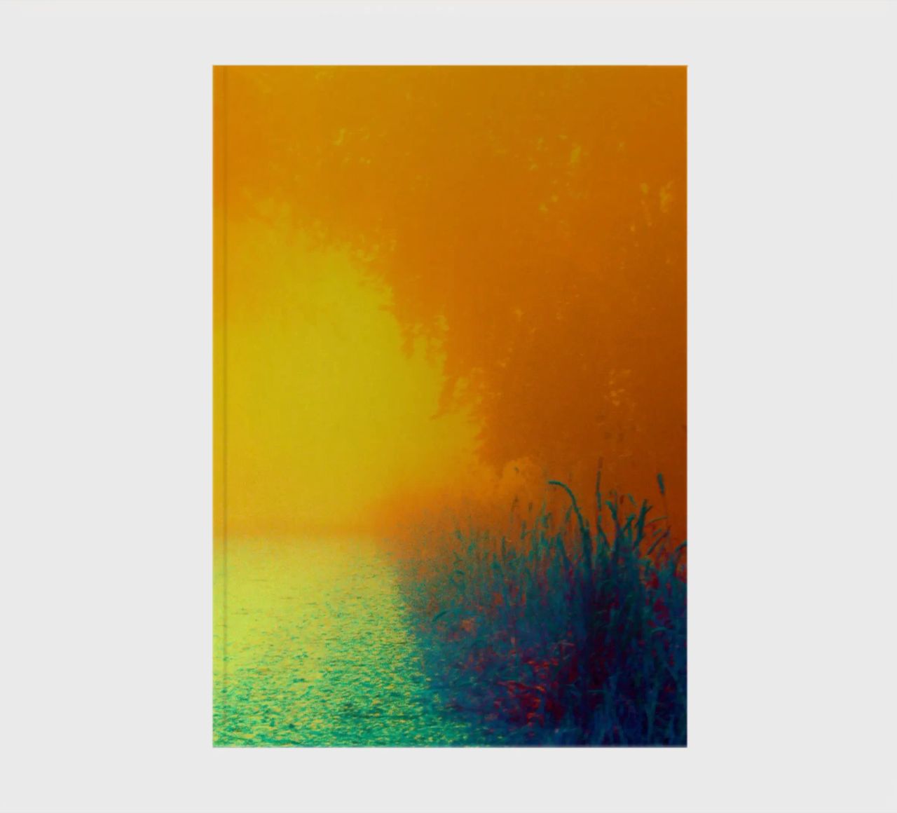 A path in the forest in the fog notebook by Something for you