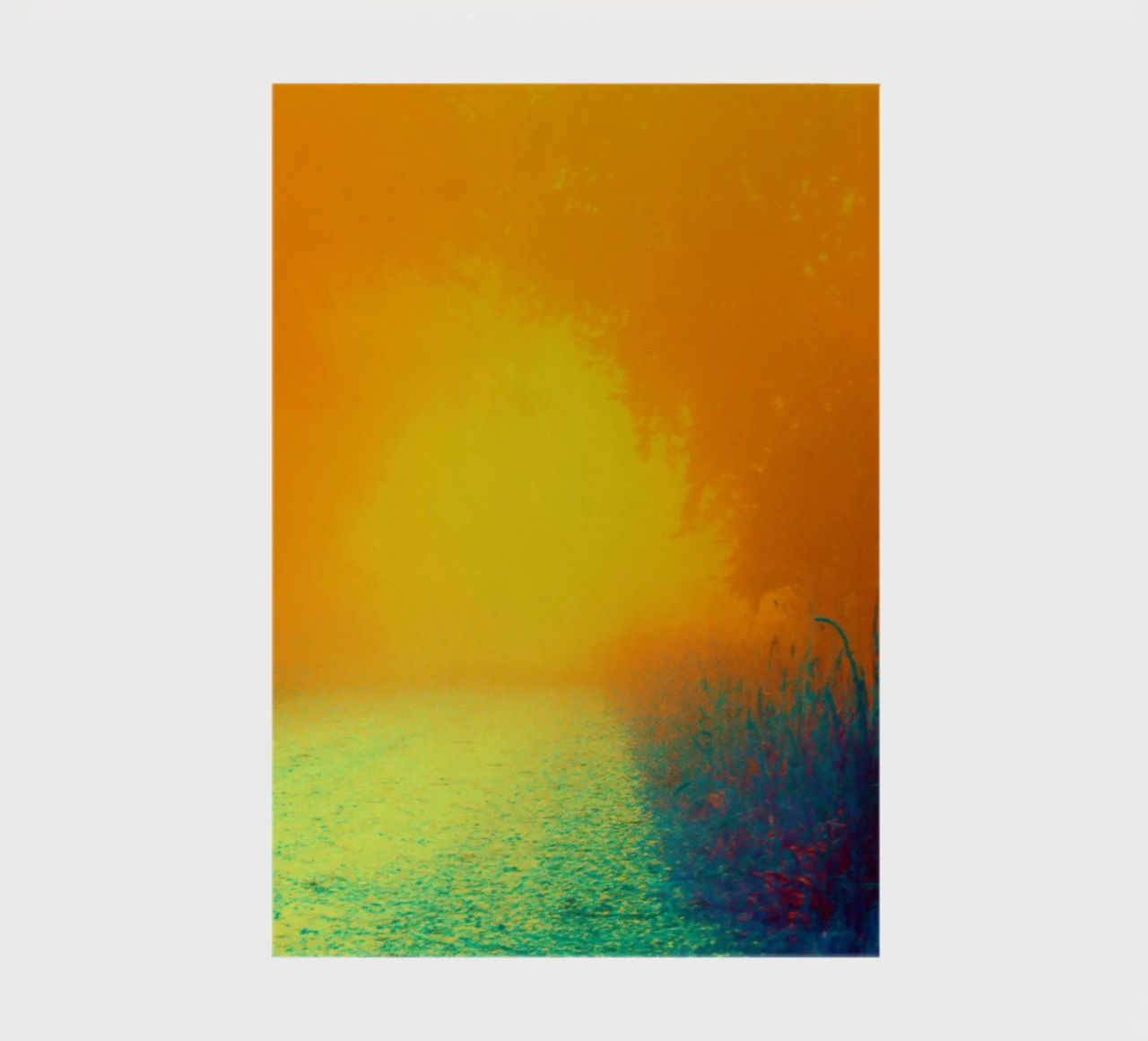 A path in the forest in the fog notebook by Something for you
