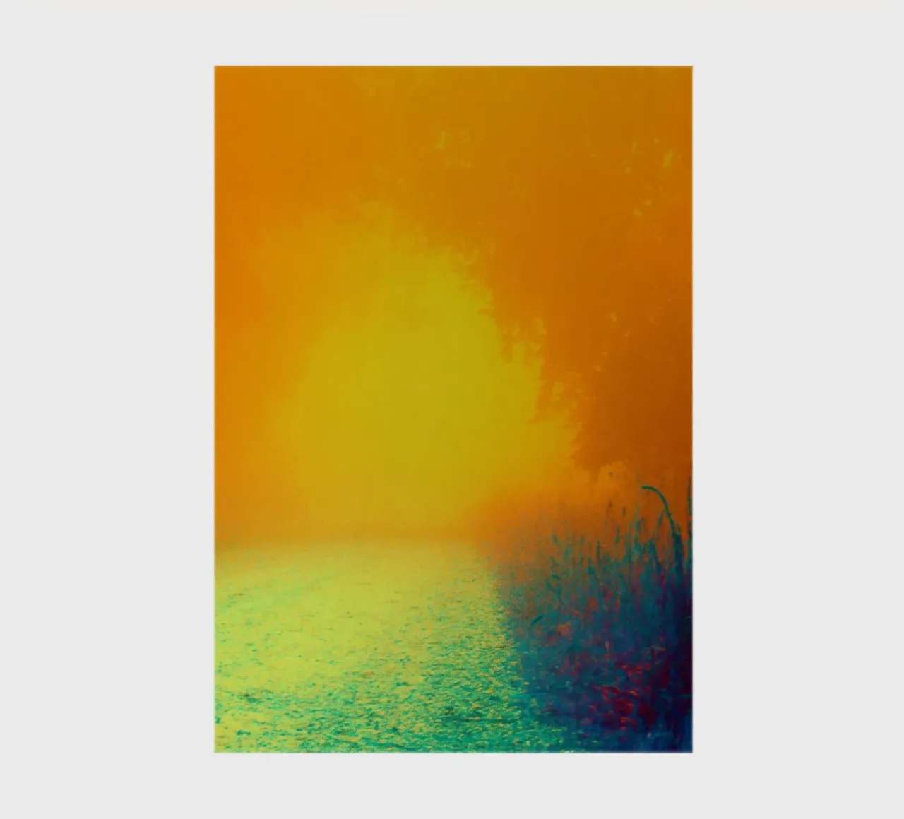 A path in the forest in the fog notebook by Something for you