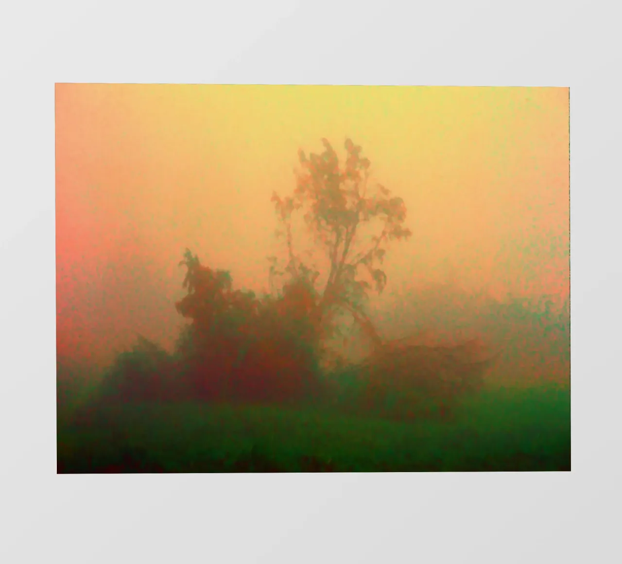 A lonely tree in the fog pvc cover by Something for you