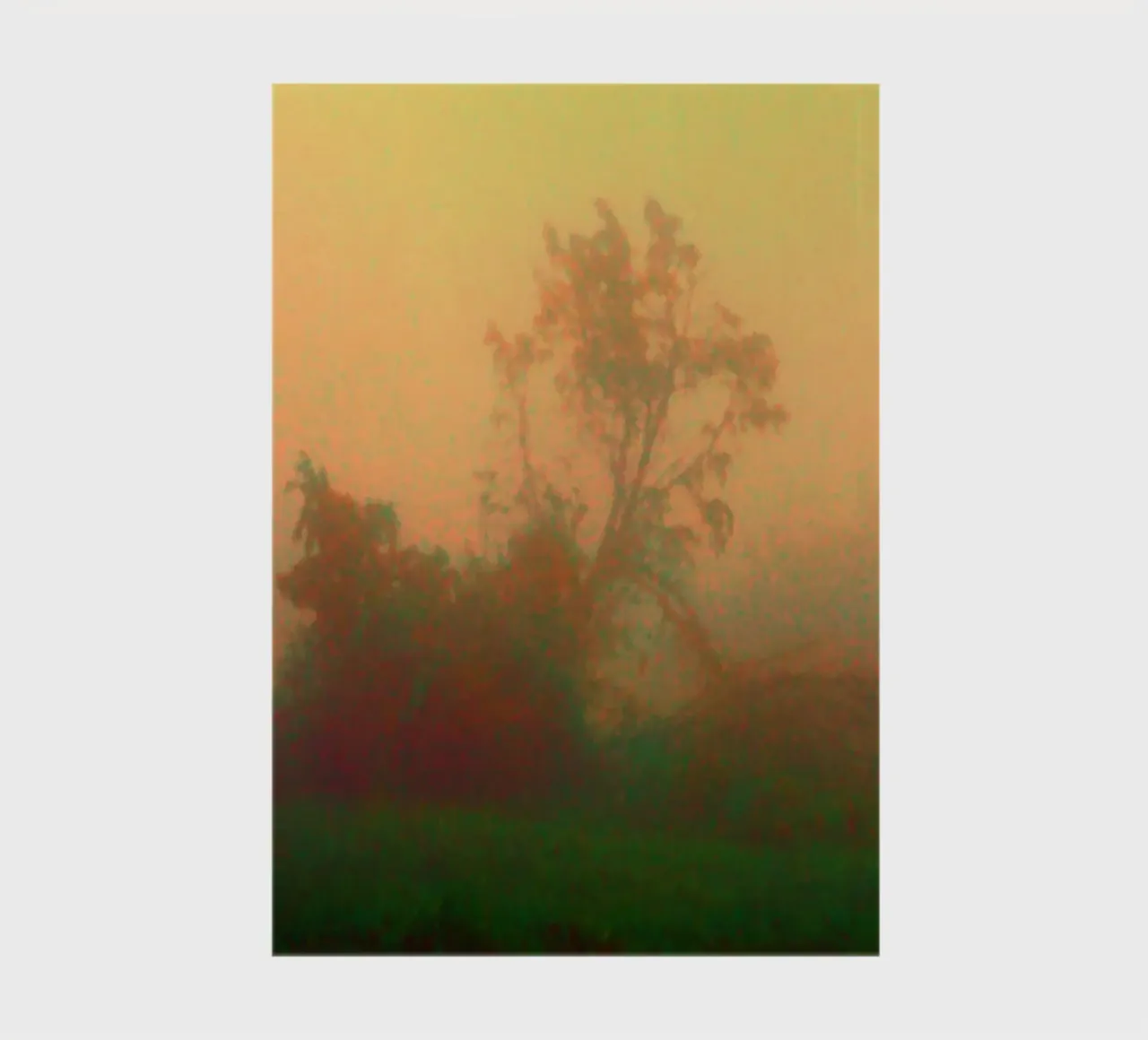 A lonely tree in the fog notebook by Something for you