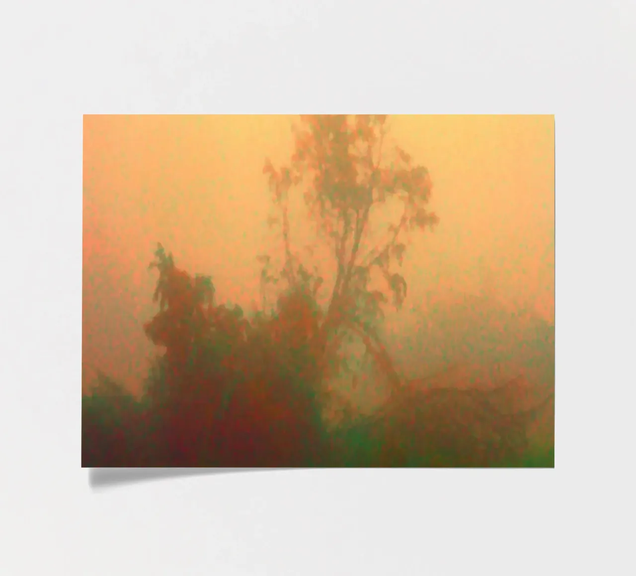 A lonely tree in the fog sticker sheet by Something for you
