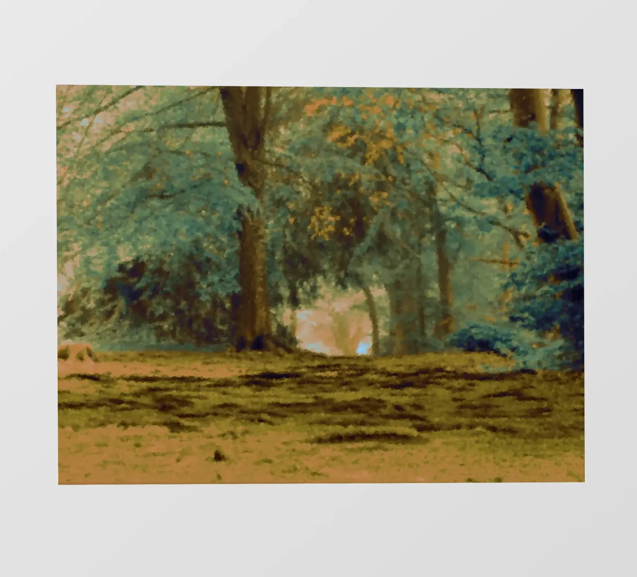 A path in the forest in summer pvc cover by Something for you