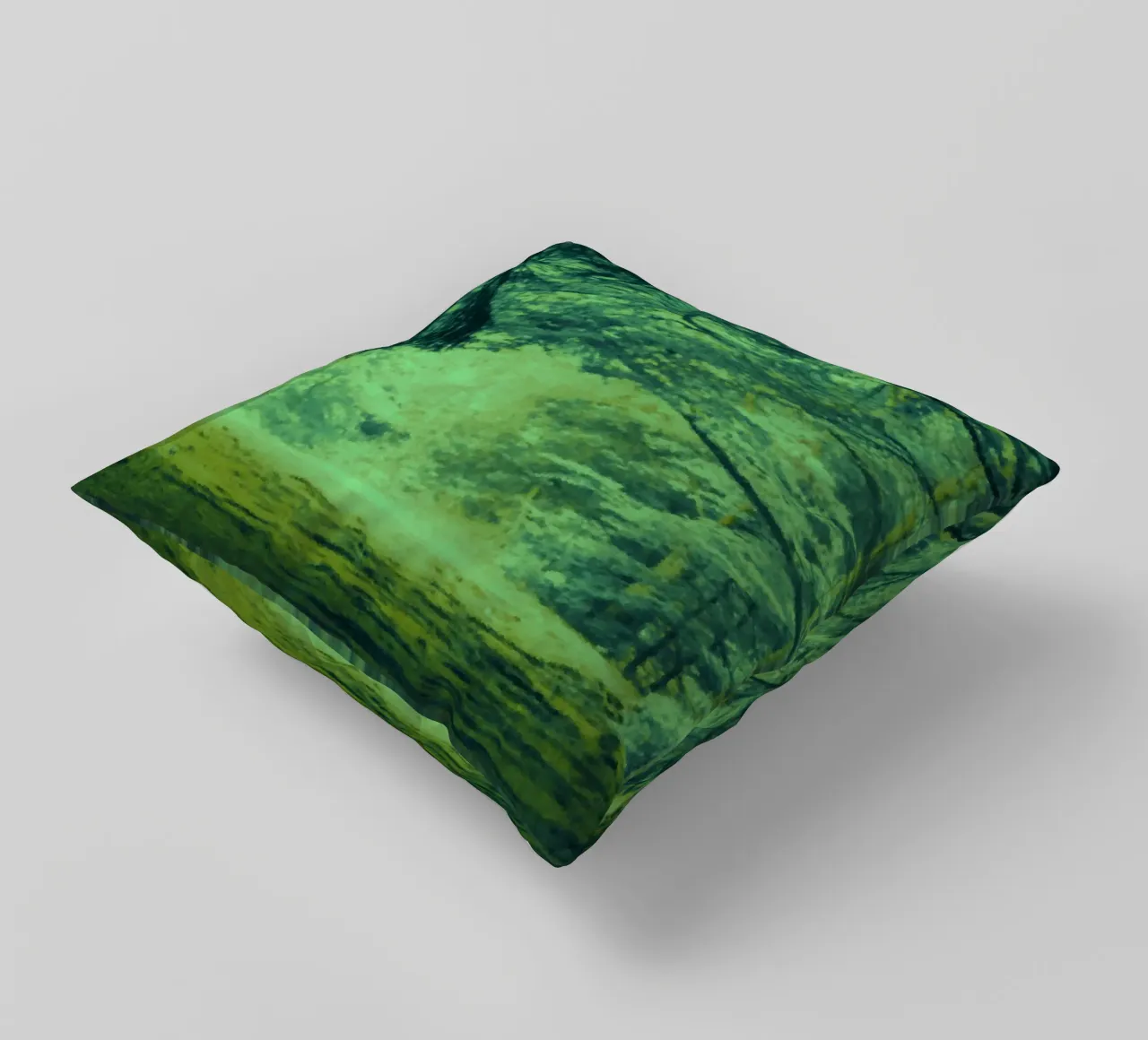 A path in the forest in summer decorative cushion by Something for you