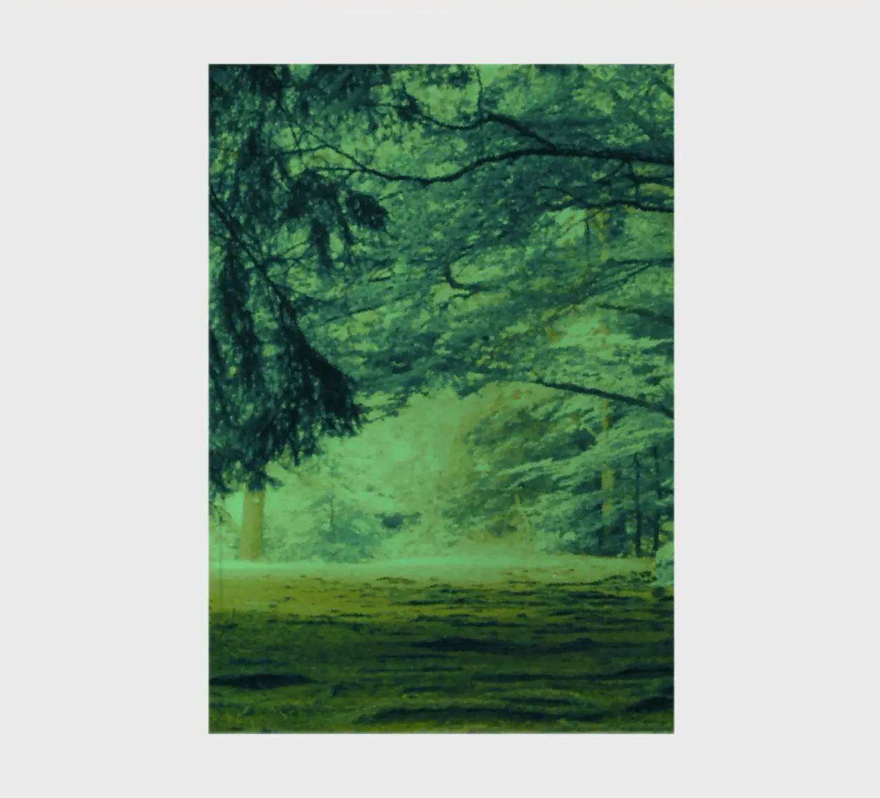 A path in the forest in summer notebook by Something for you