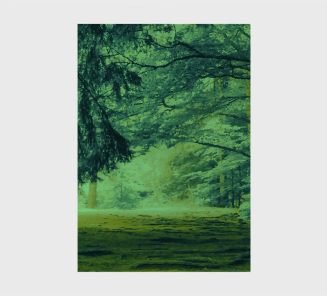 Un sentiero nella foresta in estate diario da Something for you