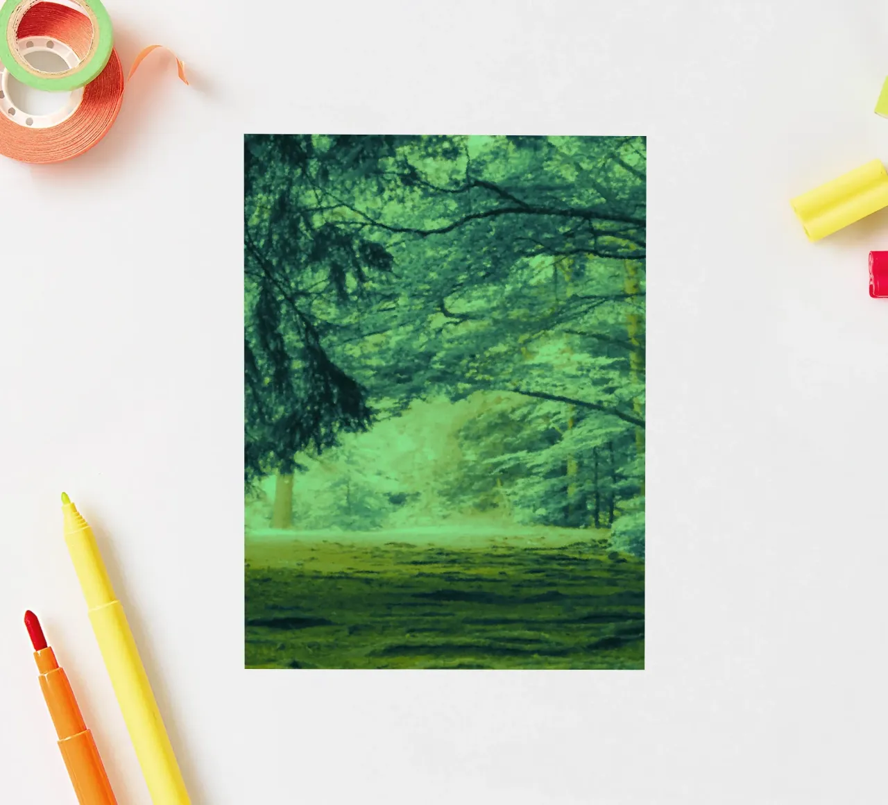 A path in the forest in summer sticker by Something for you