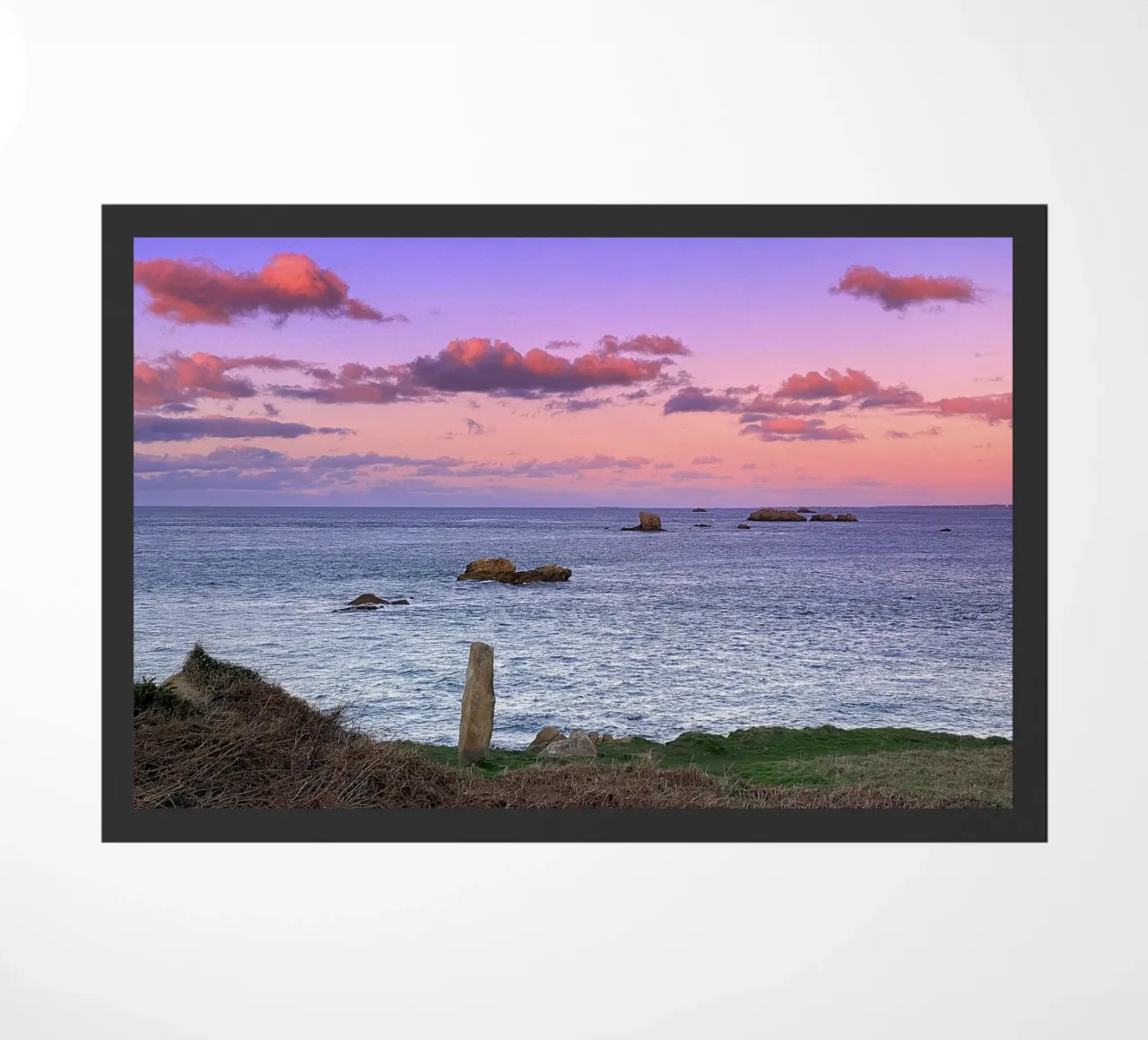 FAA176 zerbino da Thierry vobmann photography